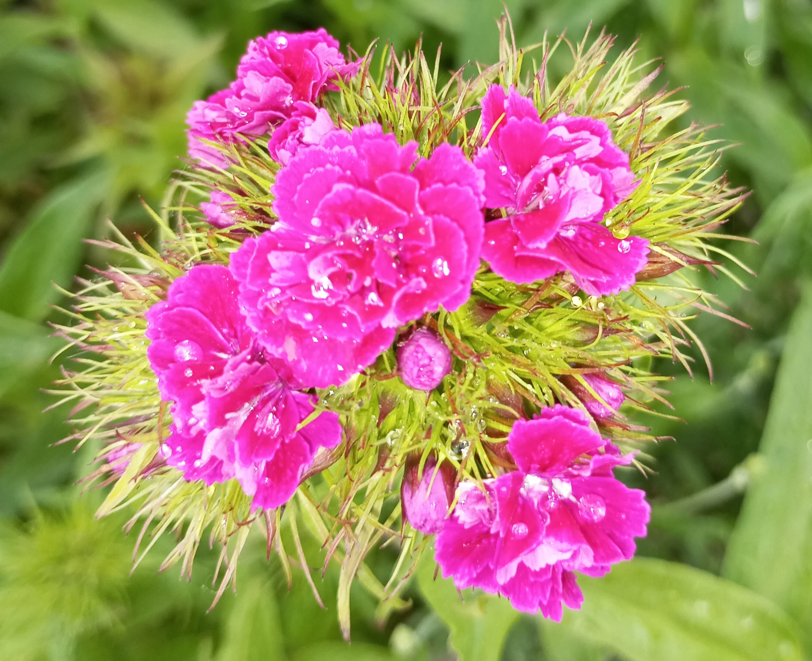 2024-06-01 17-19-51_1717251867.webp