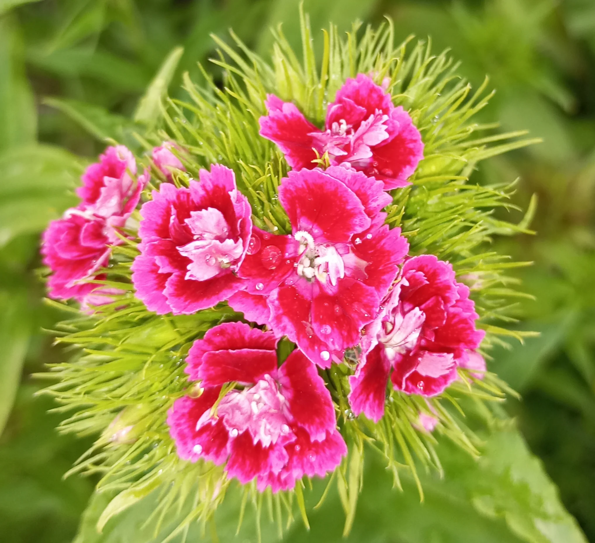 2024-06-01 17-19-56_1717251860.webp