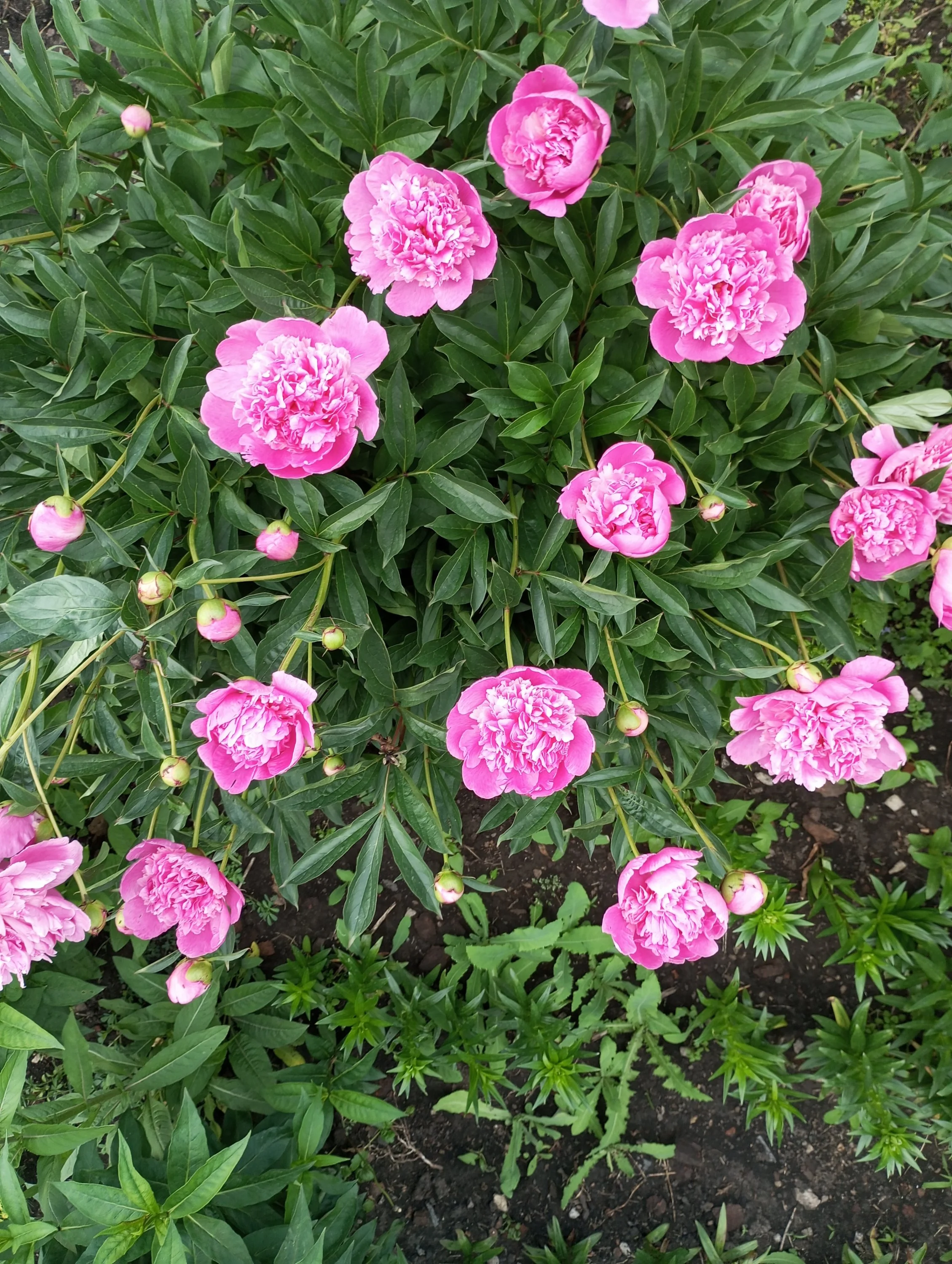 2024-06-03 17-35-37.webp