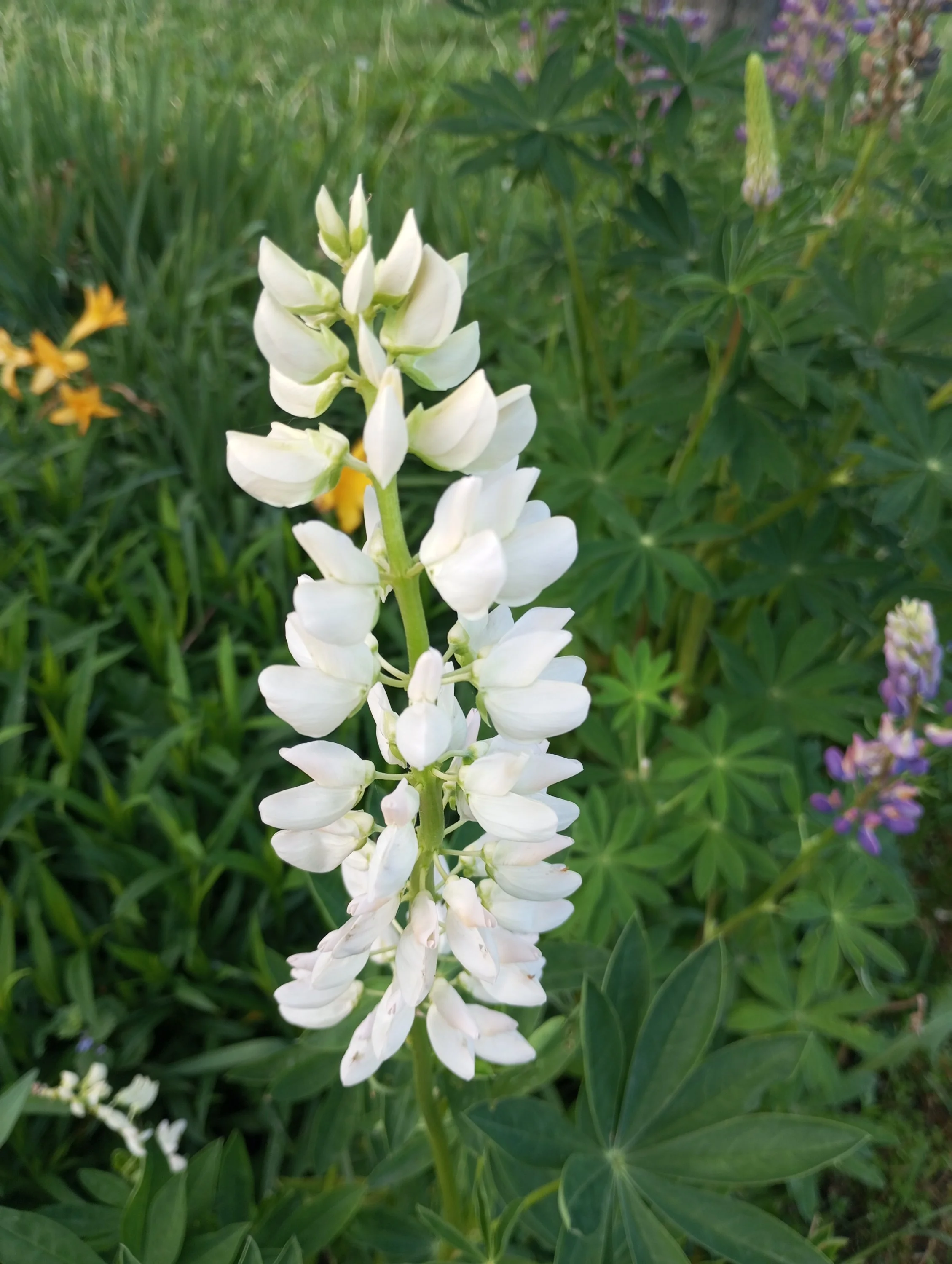 2024-06-03 19-19-50.webp