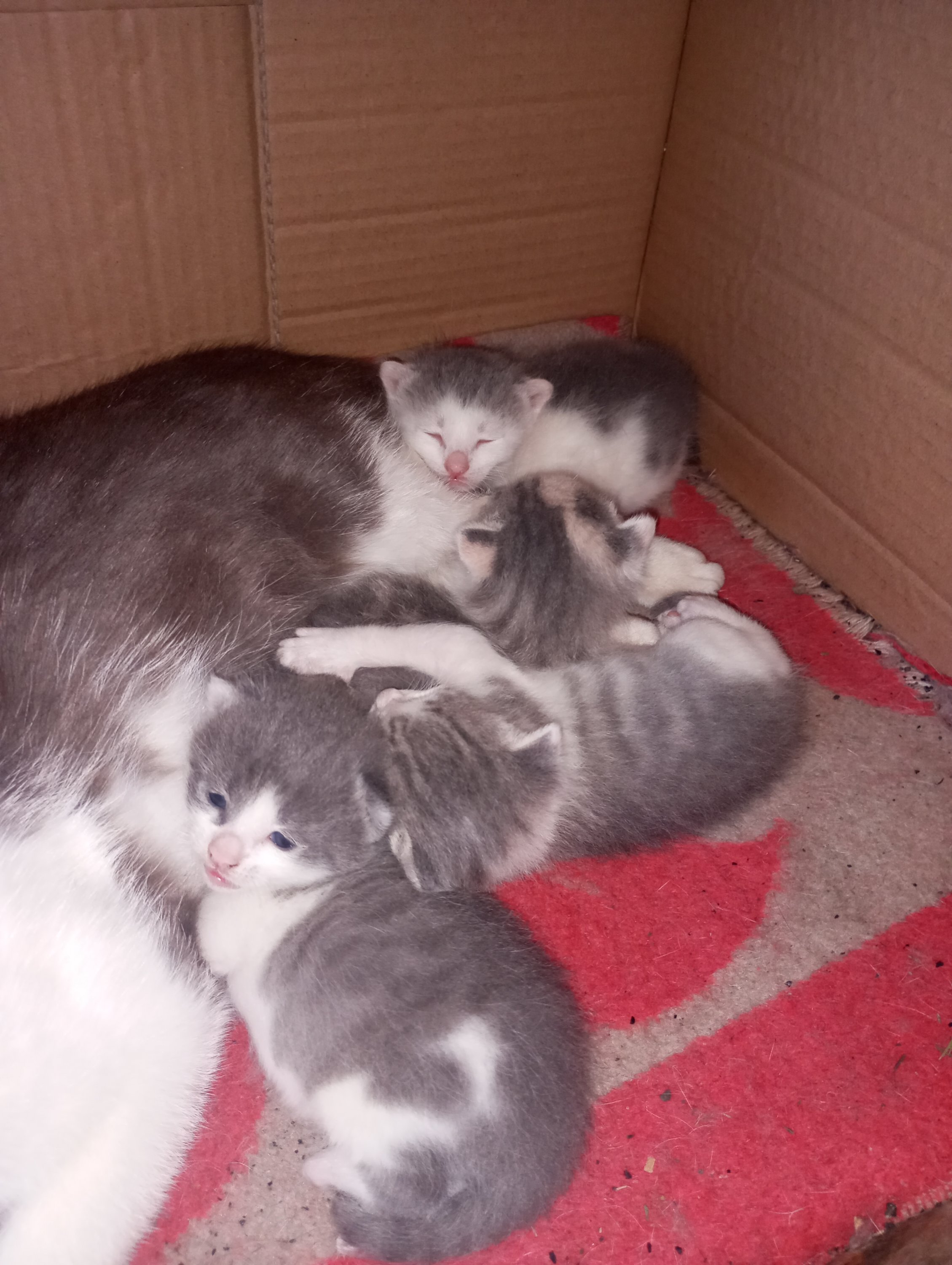 2024-06-04 19-05-29.JPG