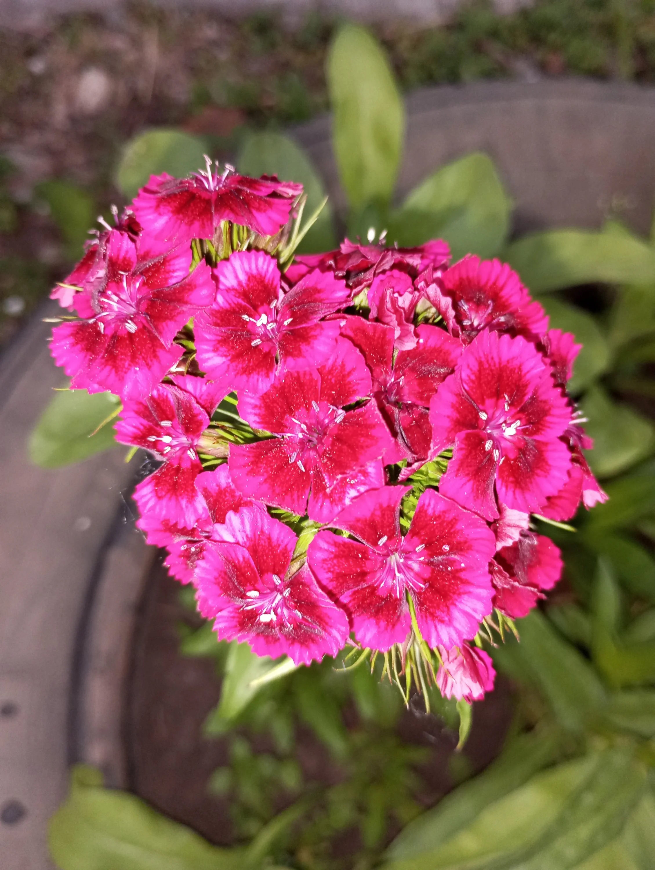 2024-06-05 17-32-55.webp