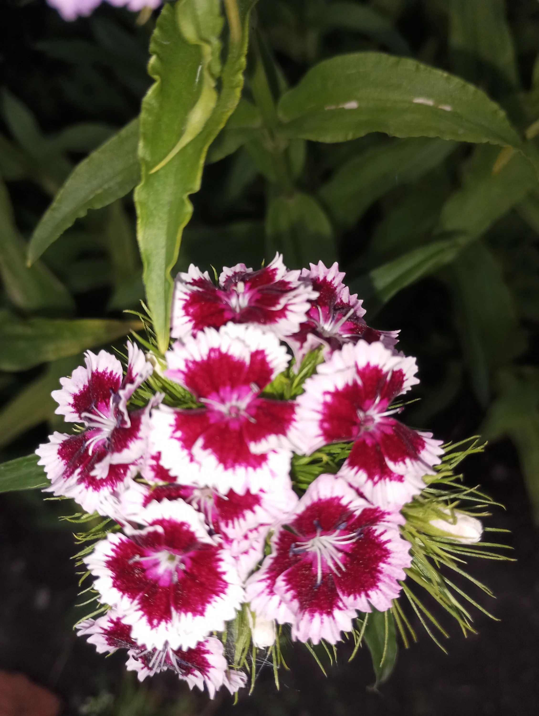 2024-06-05 17-33-04.webp