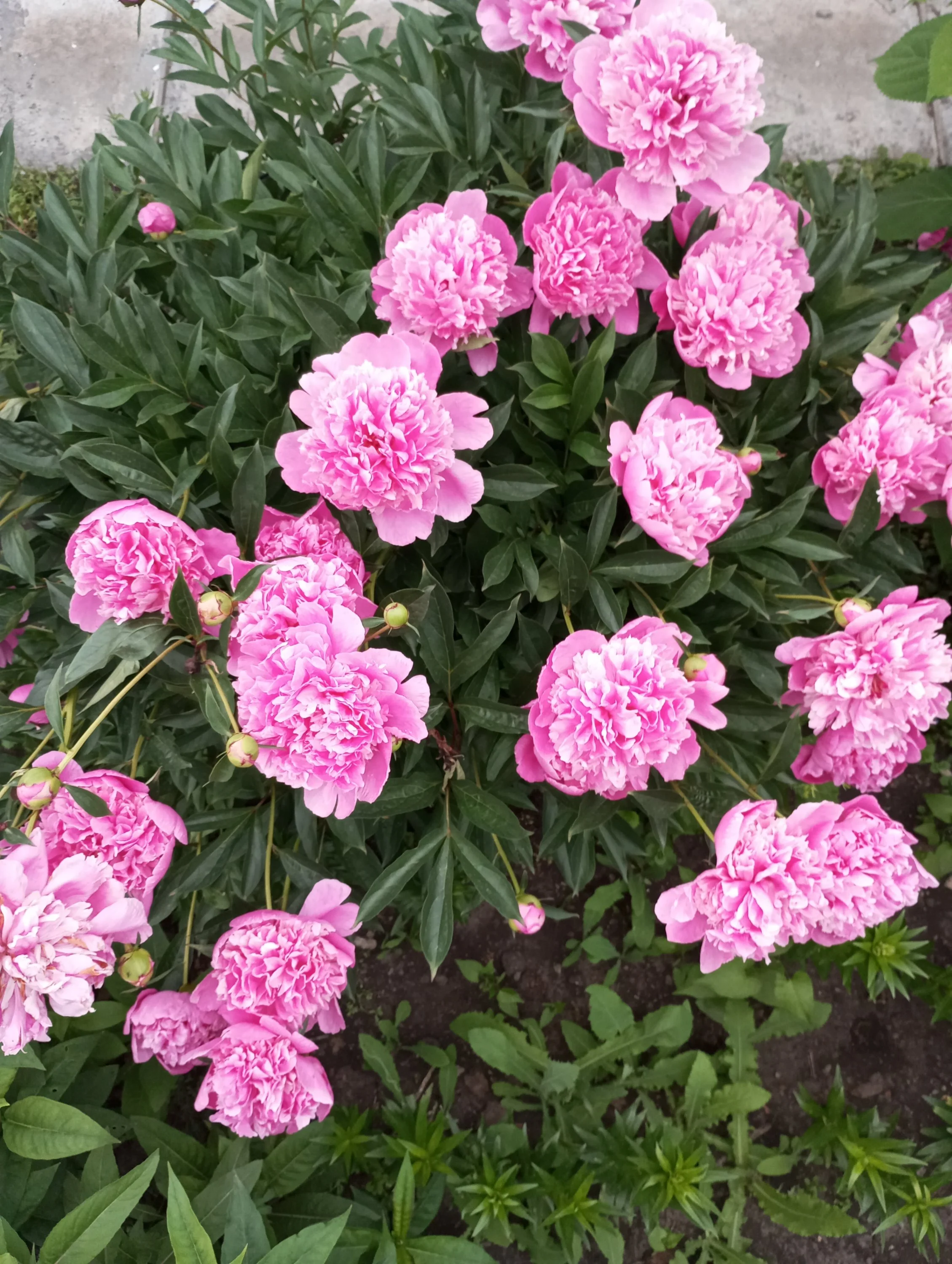 2024-06-05 17-33-12.webp