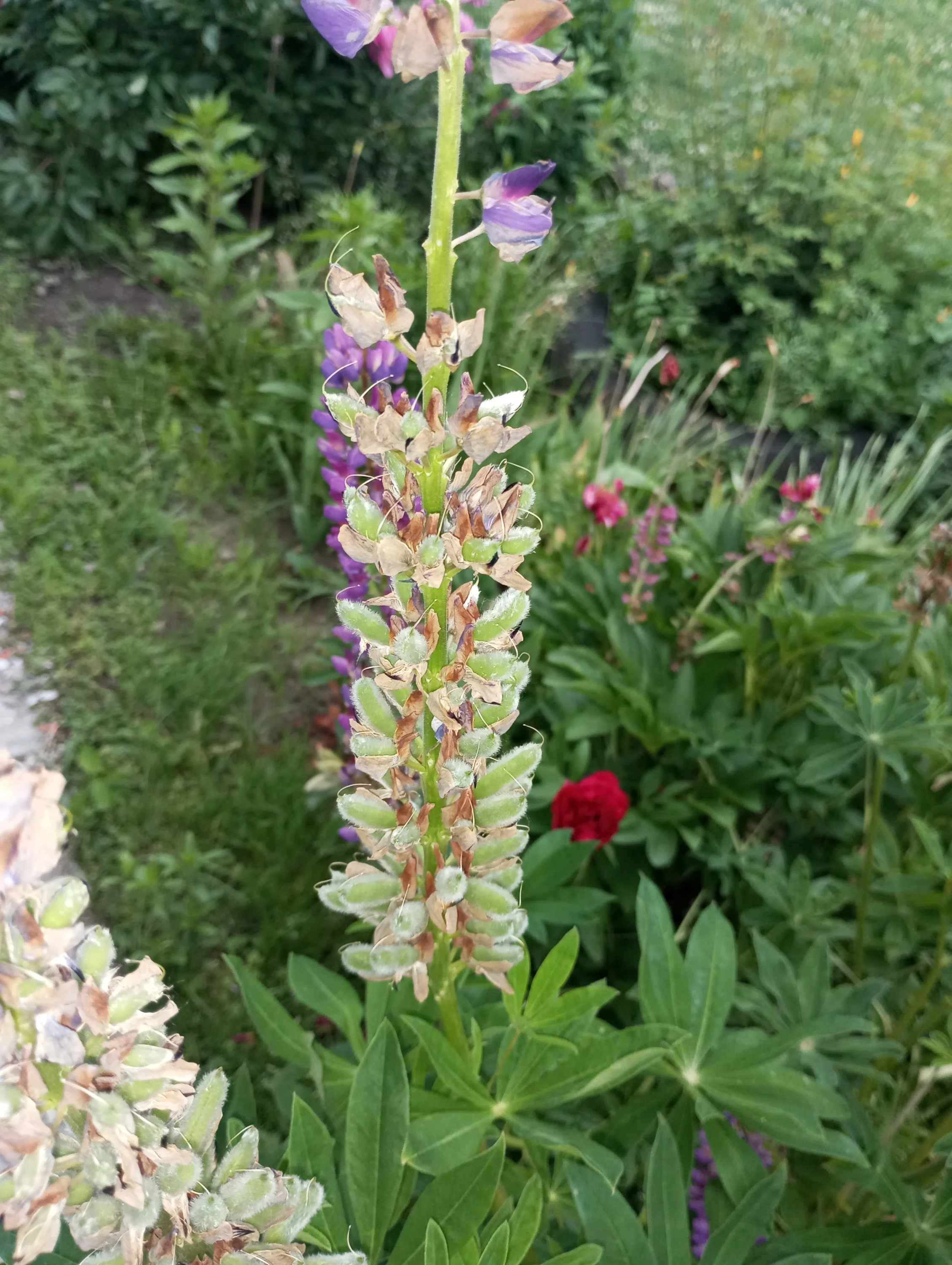 2024-06-05 17-33-29.webp