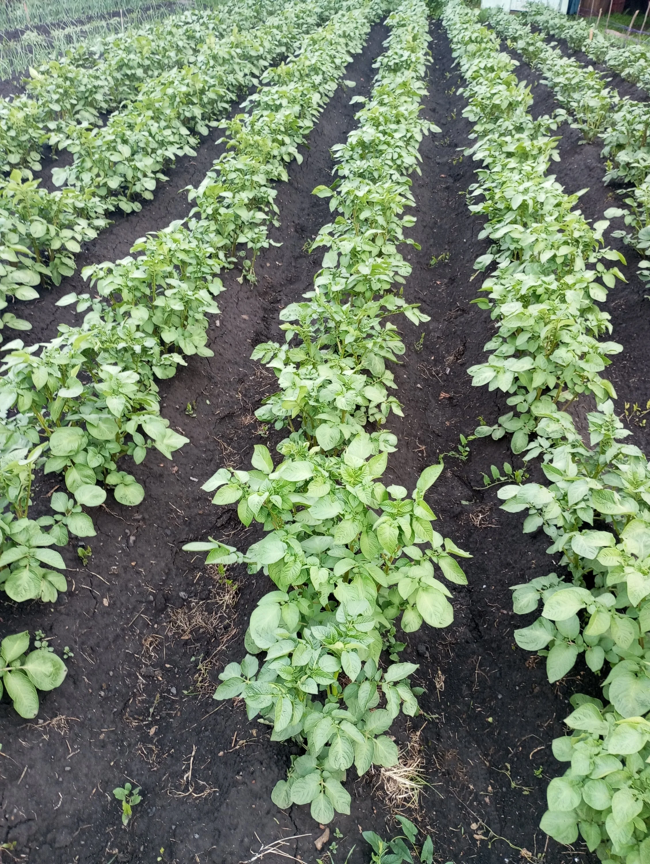 2024-06-06 19-17-15.webp