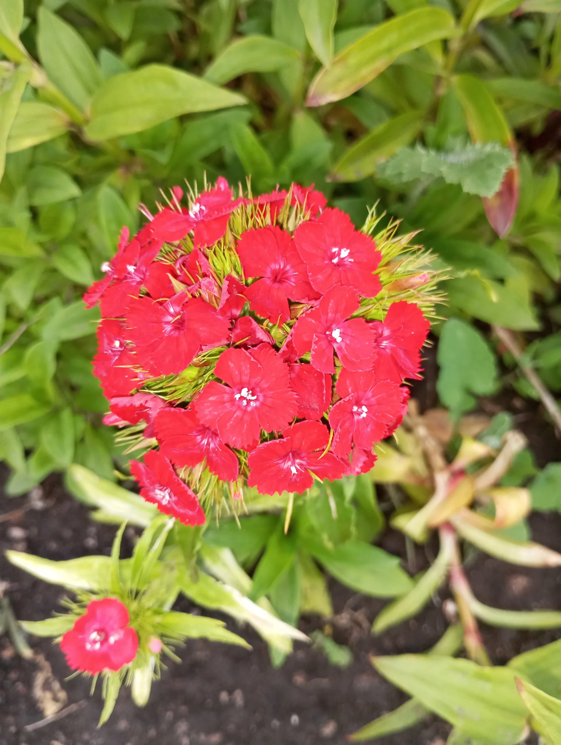 2024-06-06 19-48-02.webp