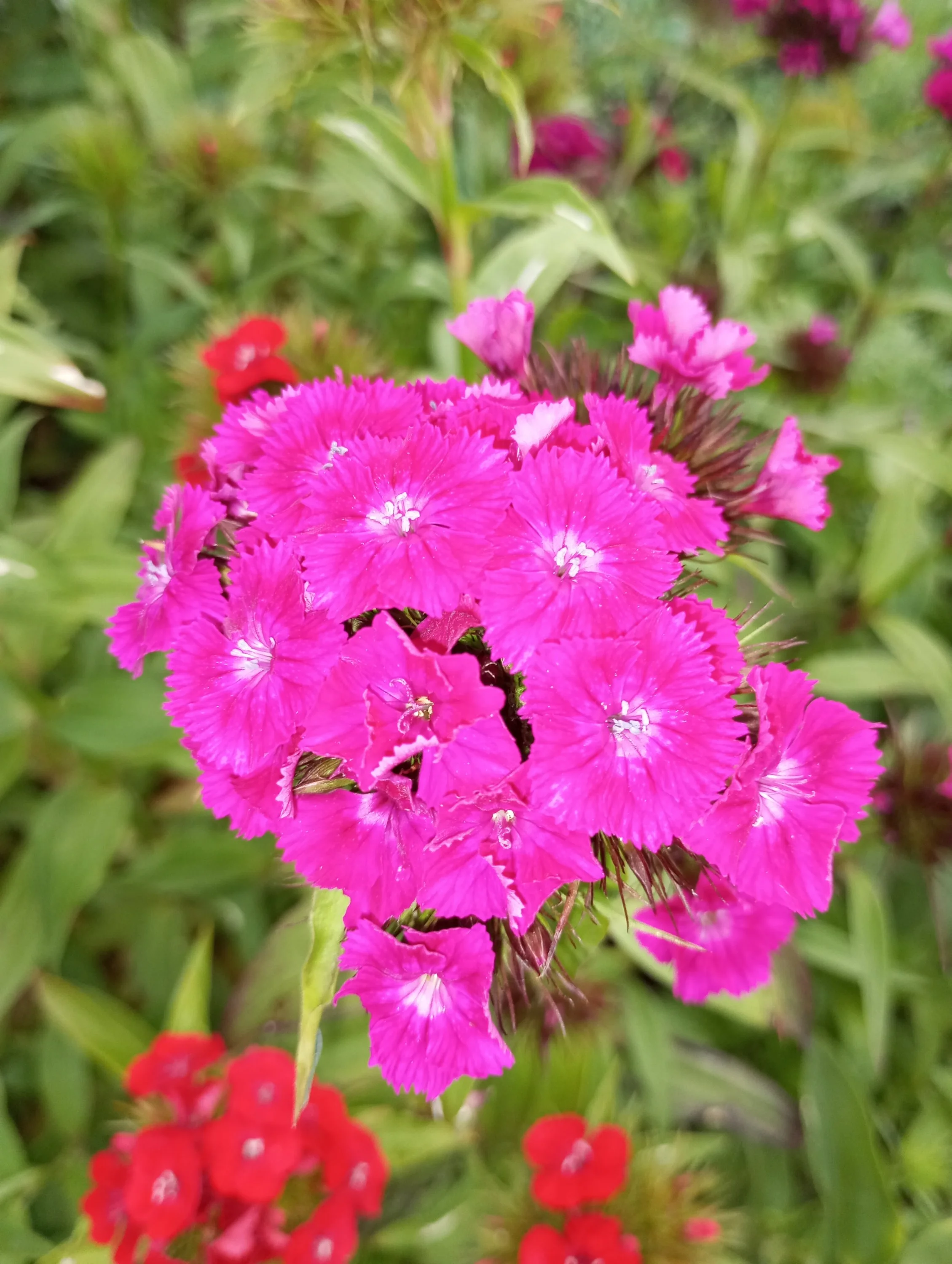 2024-06-06 19-48-05.webp