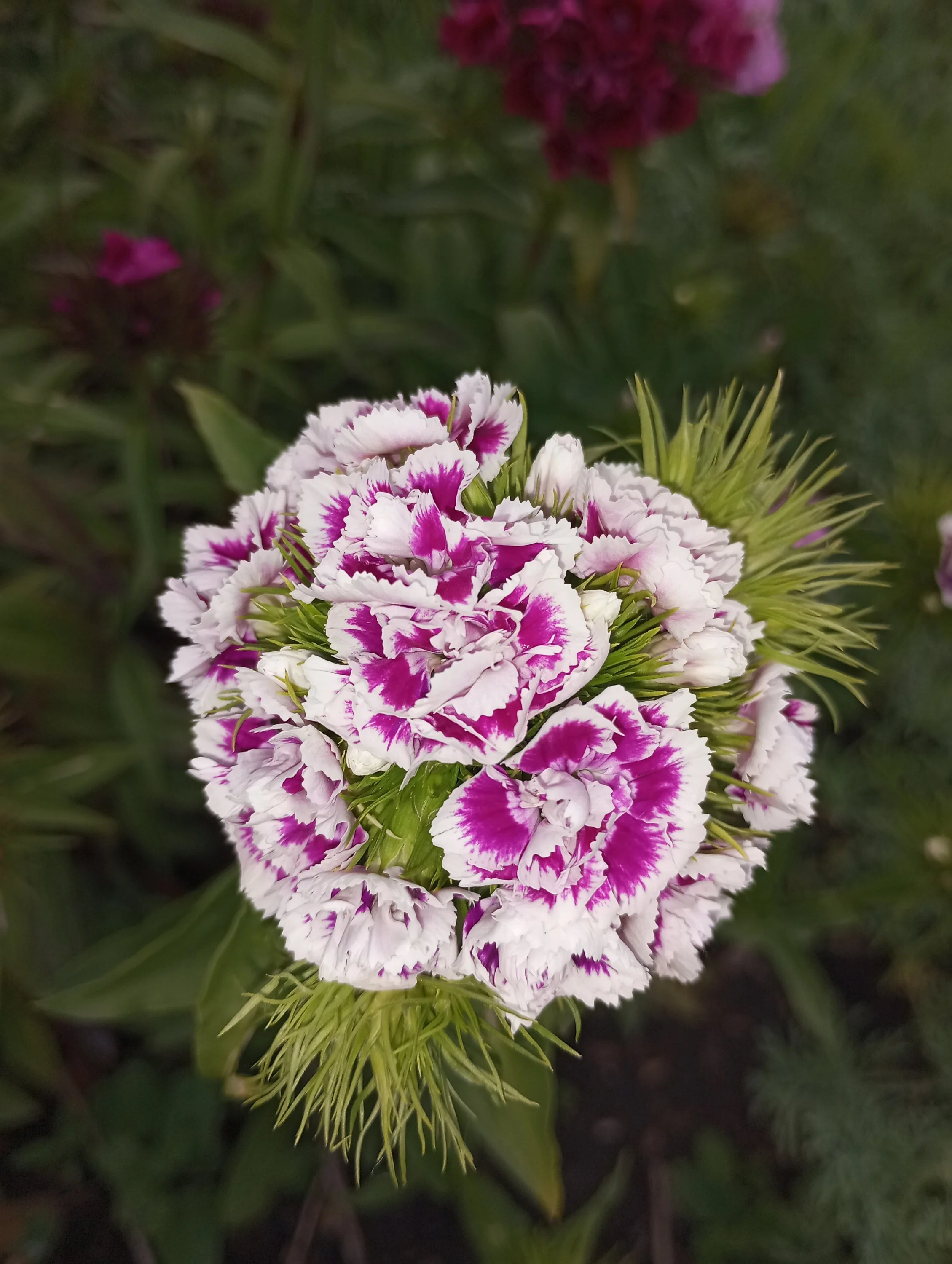 2024-06-06 19-48-10.webp