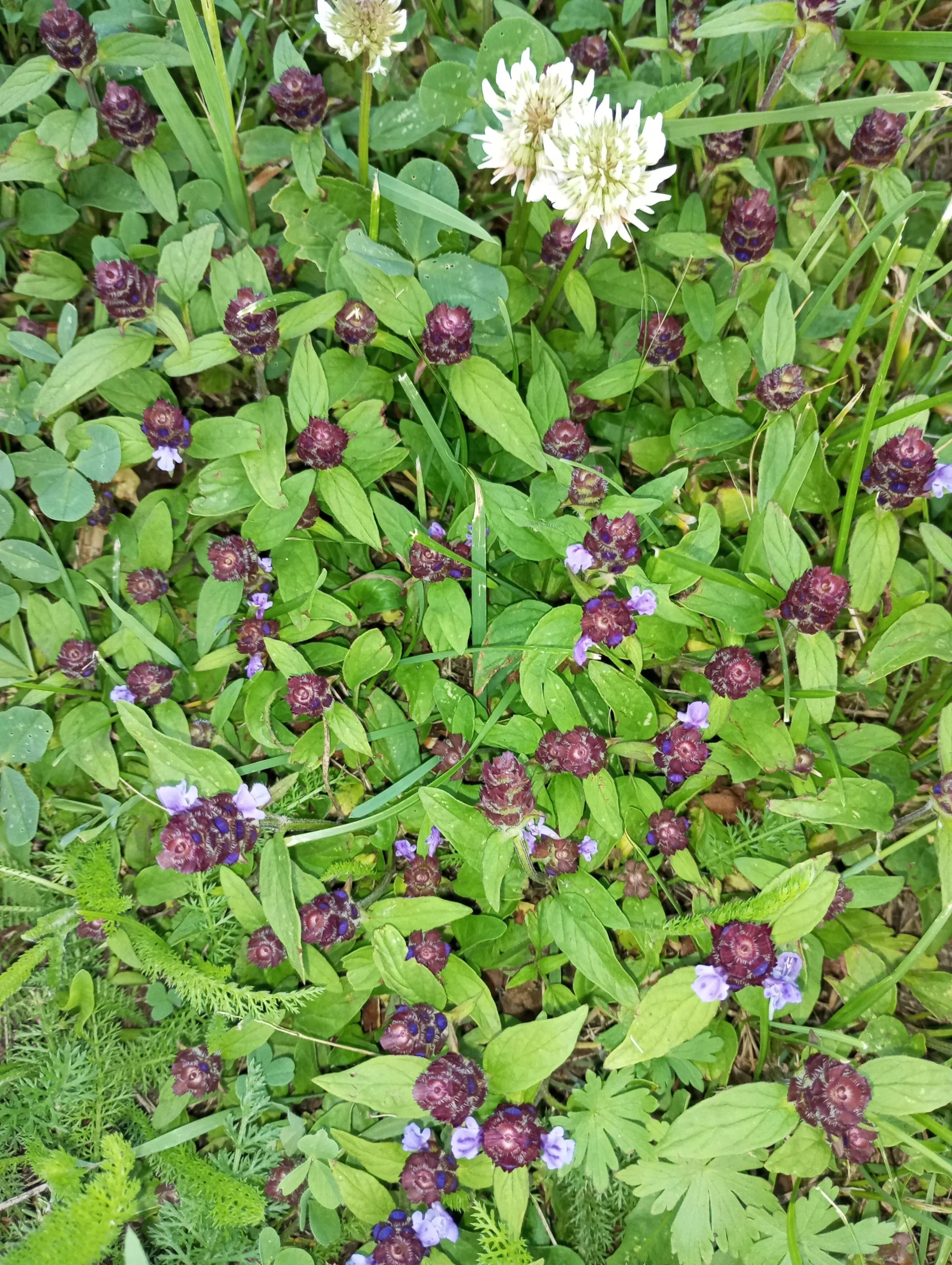 2024-06-06 19-56-03.webp