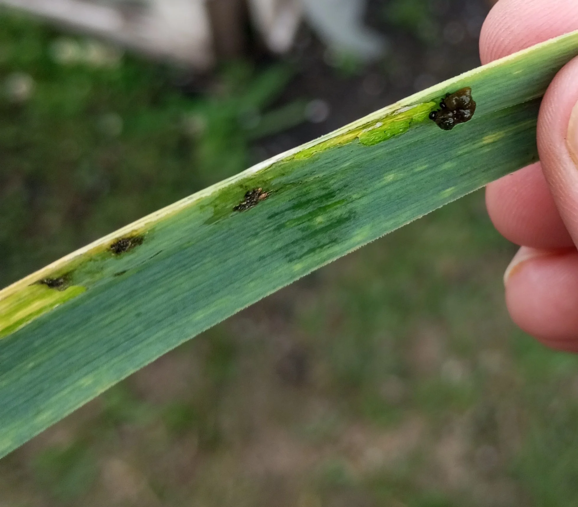 2024-06-06 20-11-12.webp