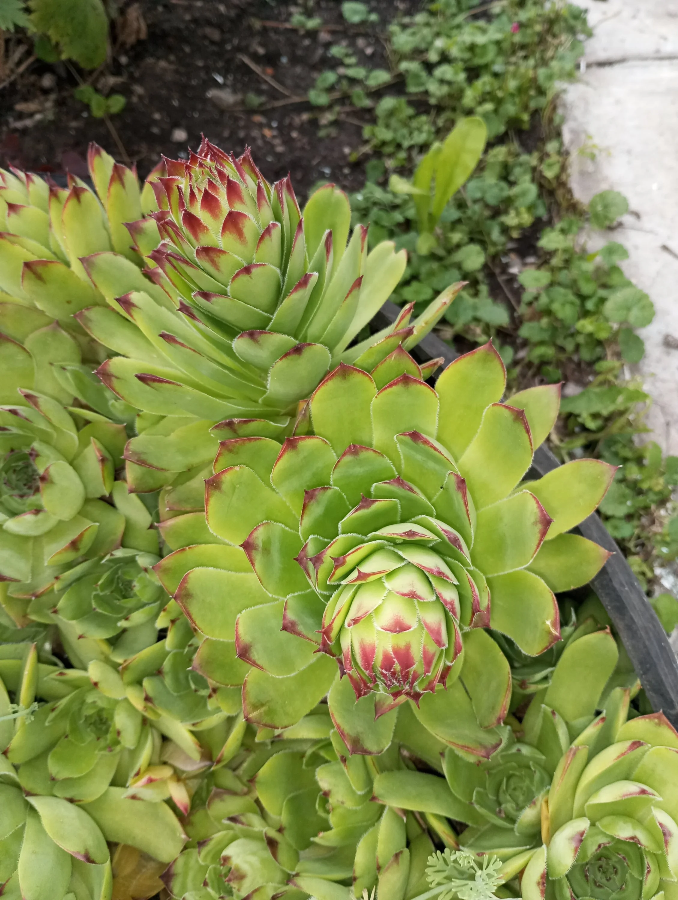 2024-06-09 19-30-05.webp