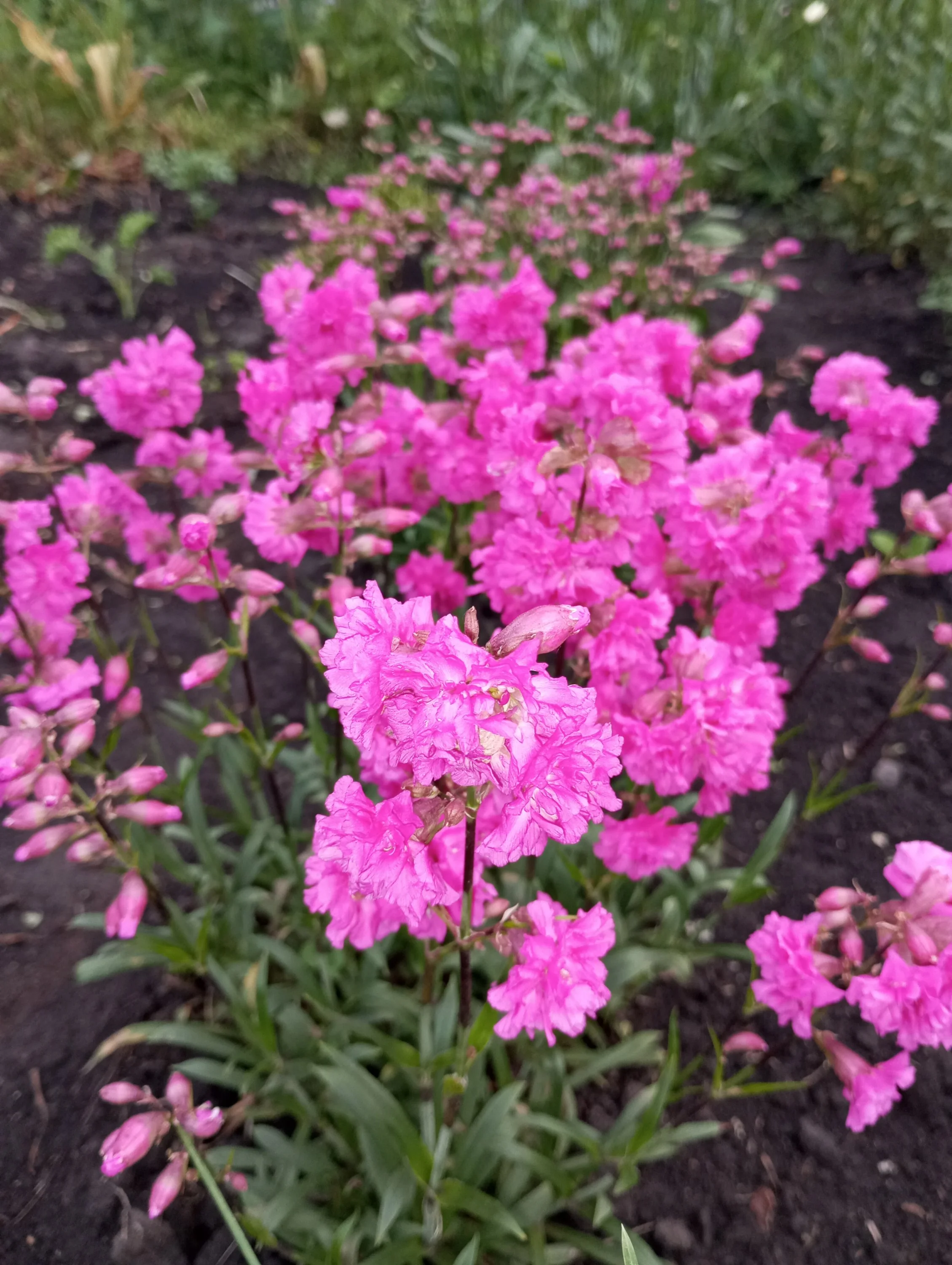 2024-06-09 19-30-56.webp