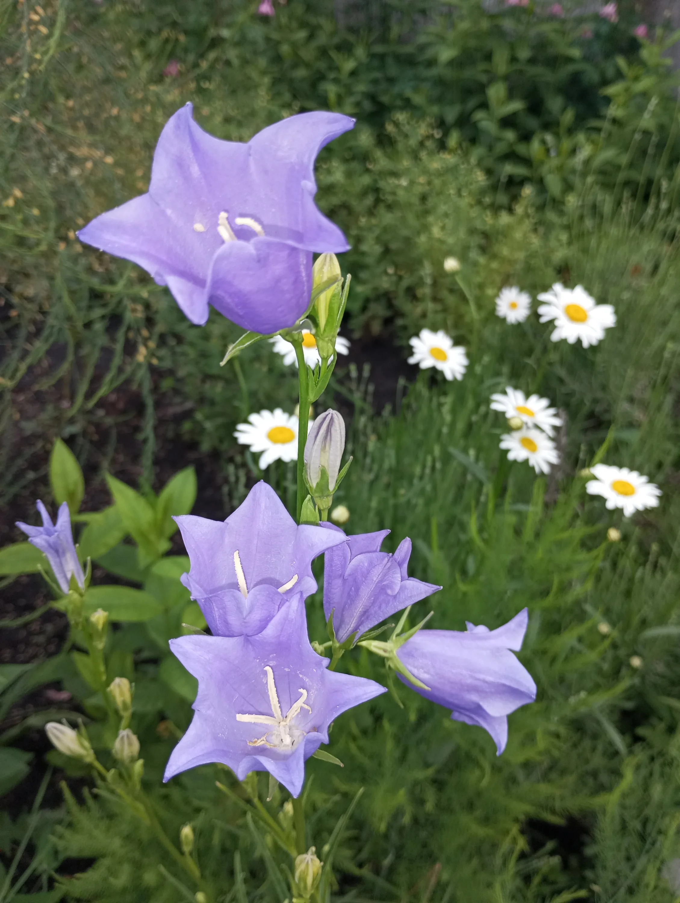 2024-06-09 19-31-13.webp