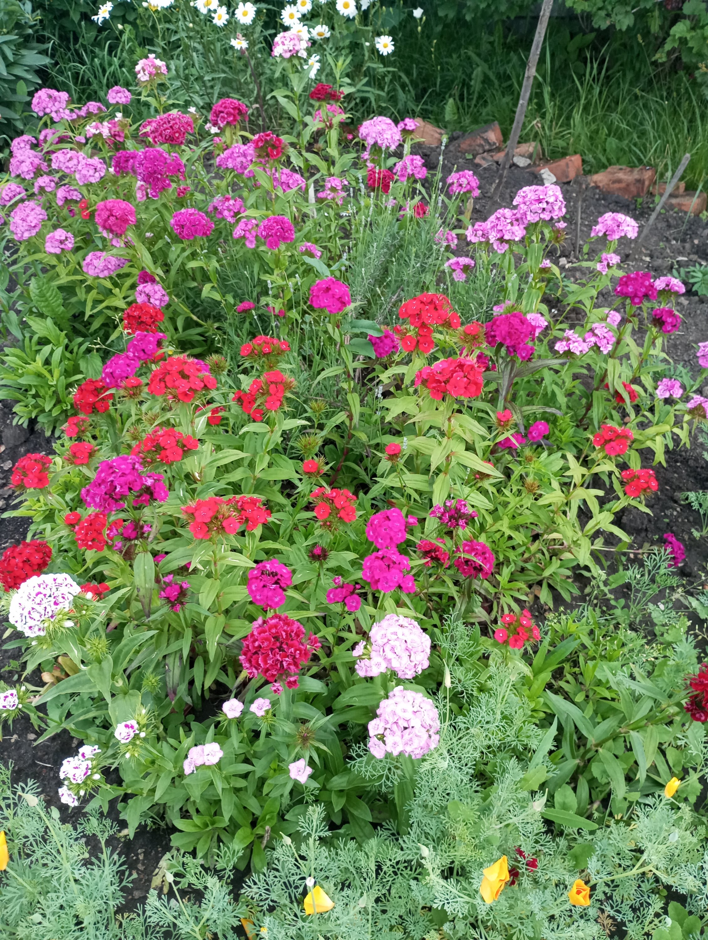 2024-06-09 19-31-59.JPG