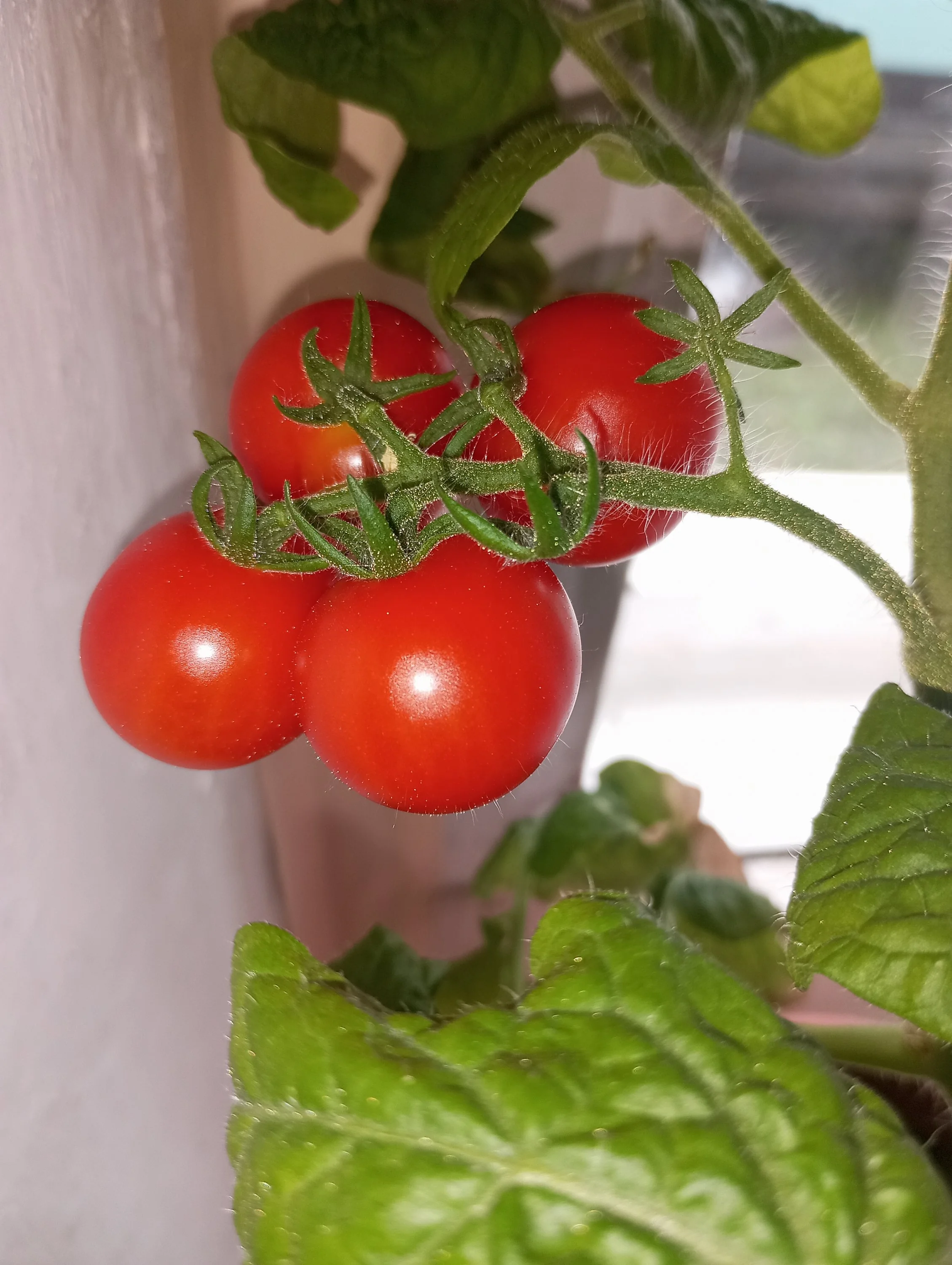 2024-06-10 11-19-36.webp