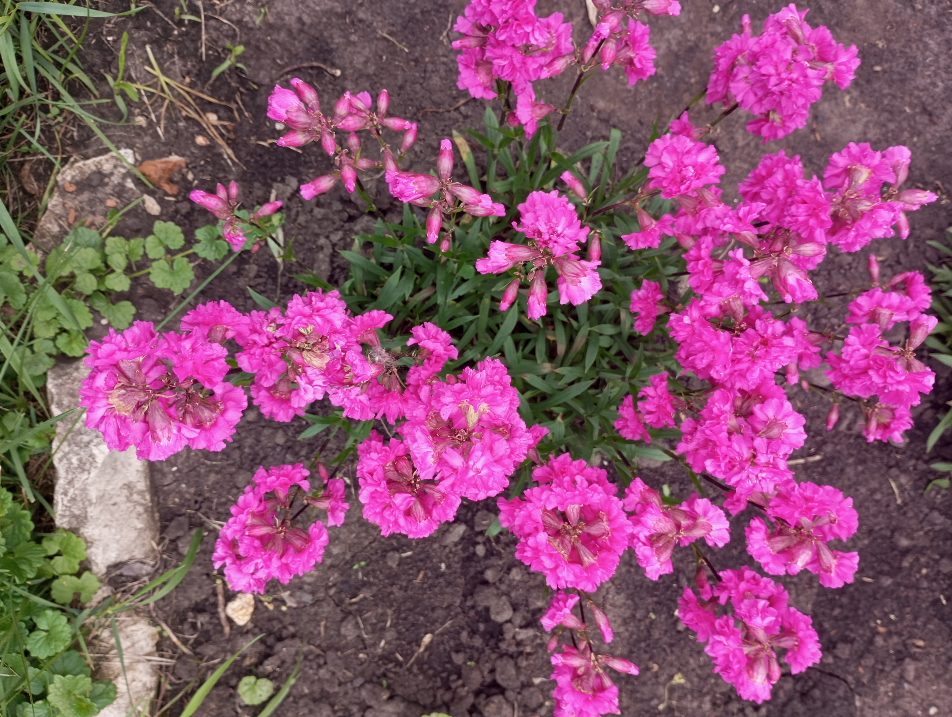 2024-06-10 17-57-53.JPG