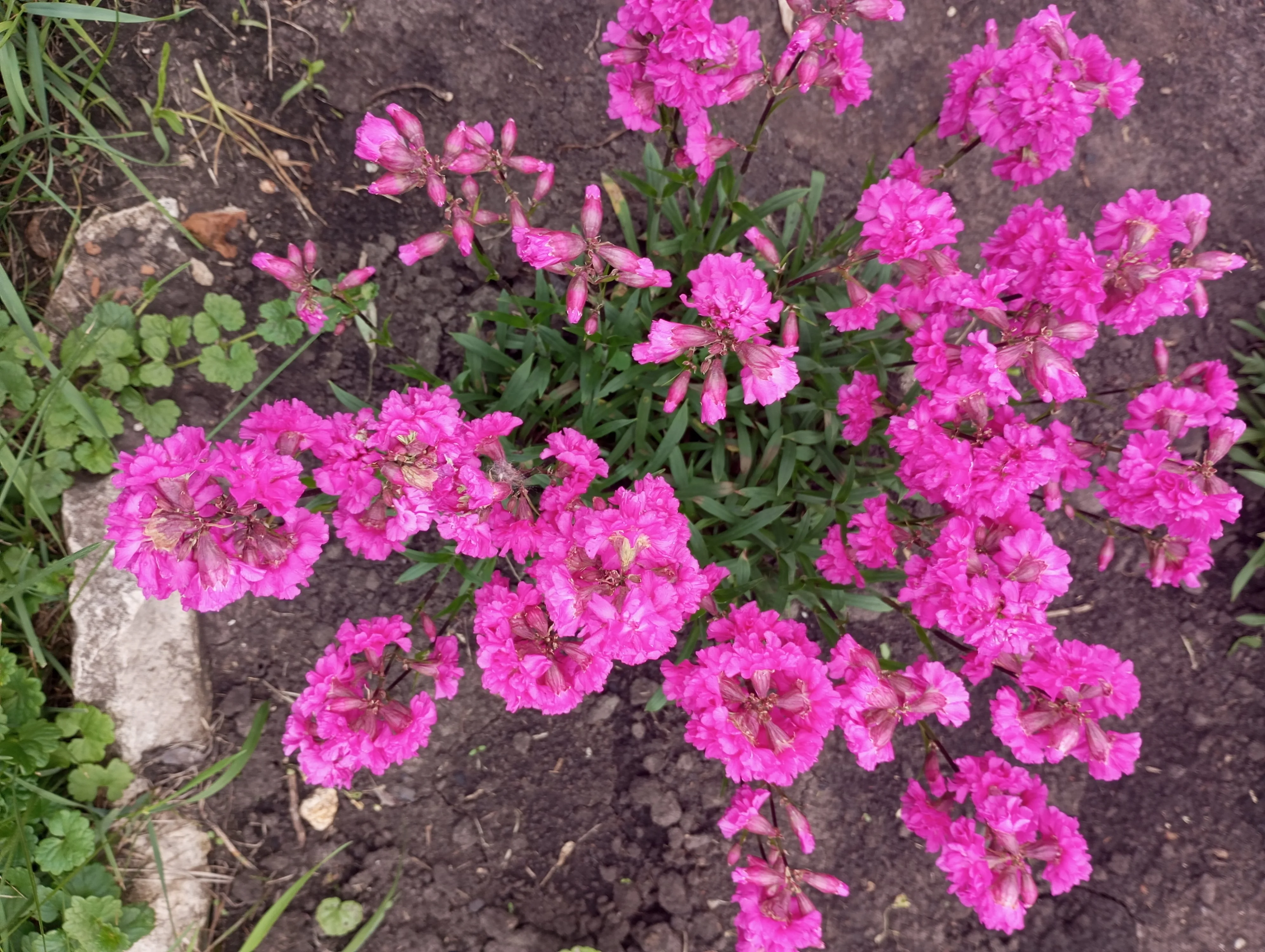 2024-06-10 17-57-53.webp