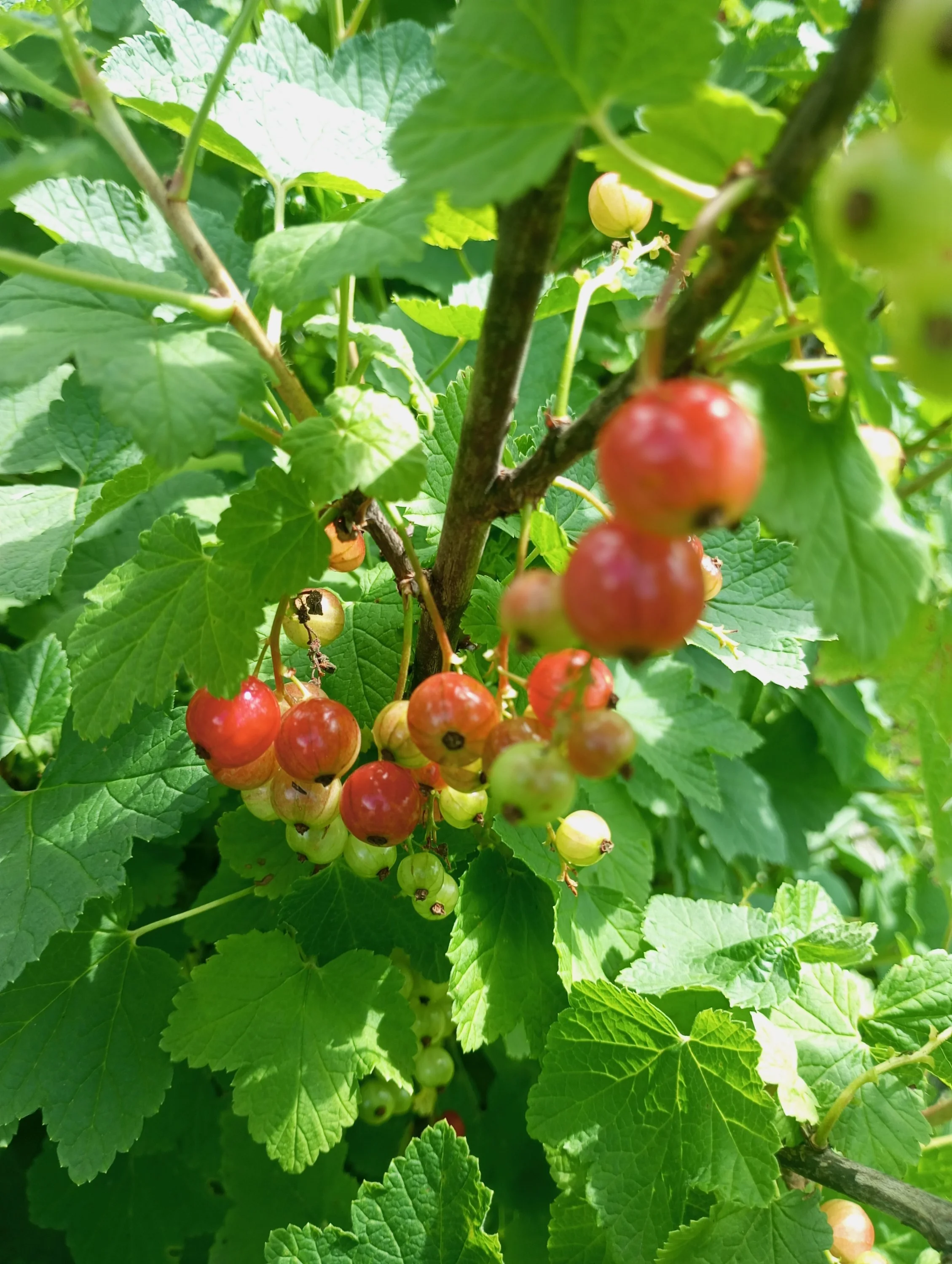 2024-06-14 13-50-38.webp