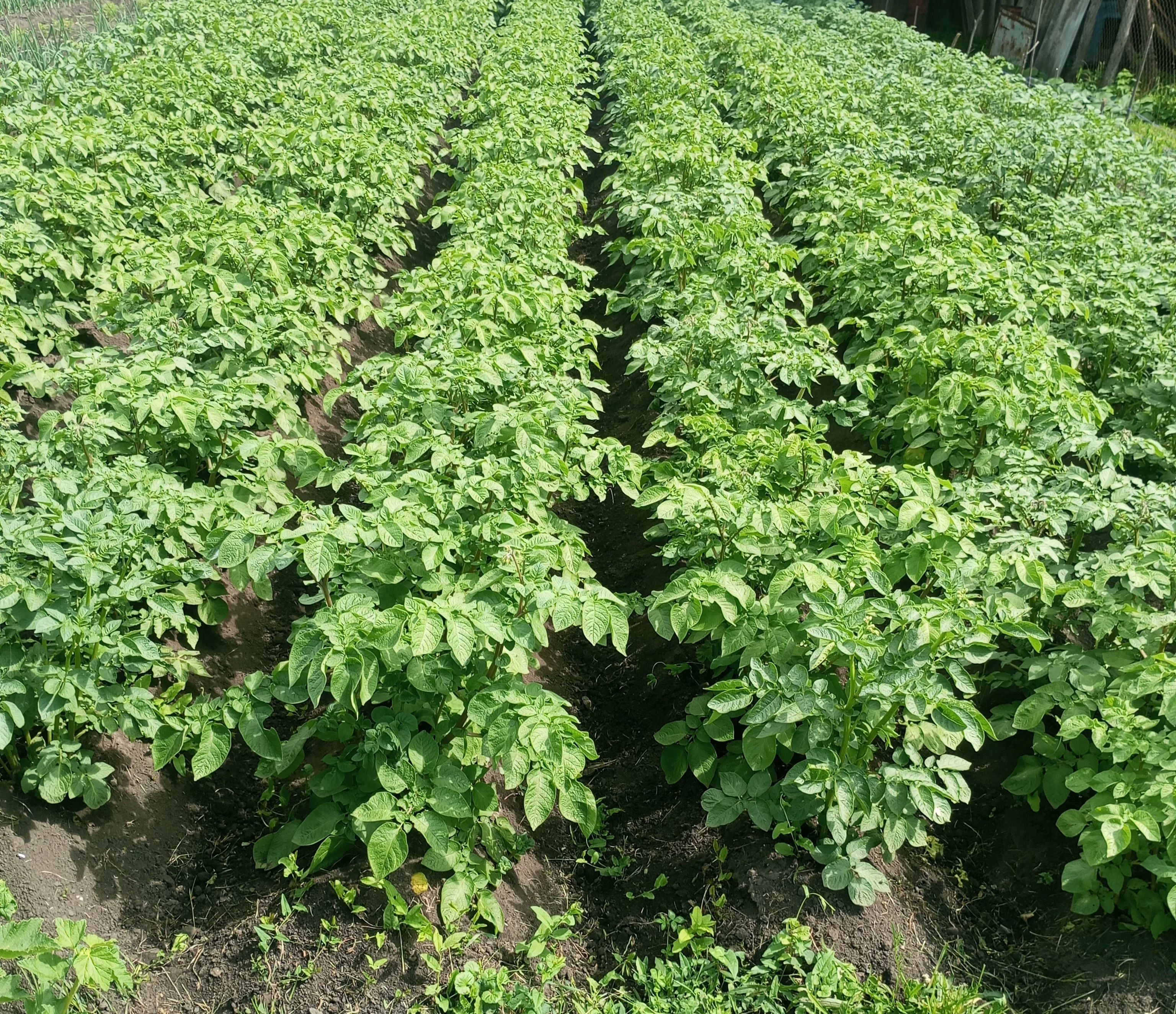 2024-06-14 13-50-45.webp