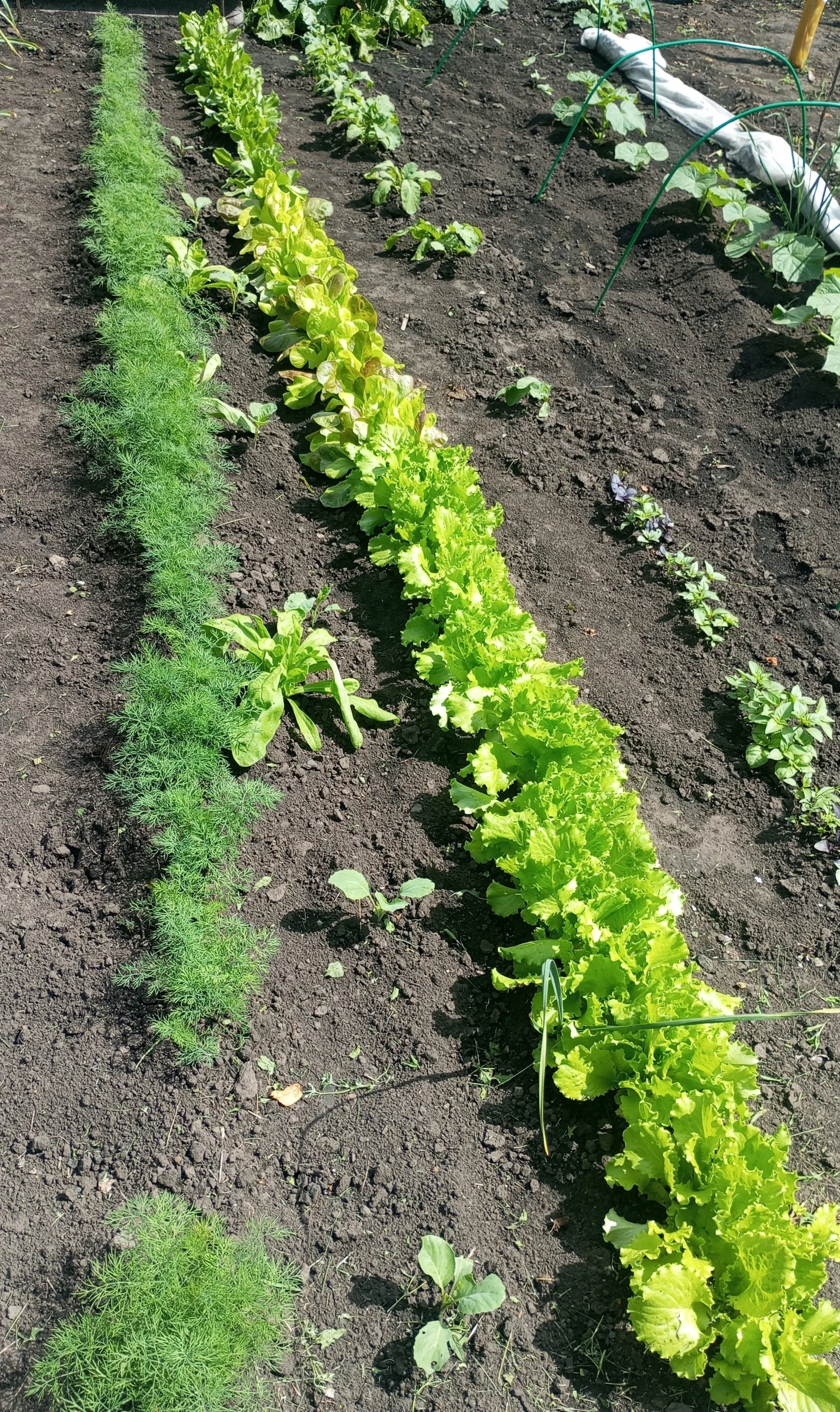 2024-06-14 13-51-29.webp