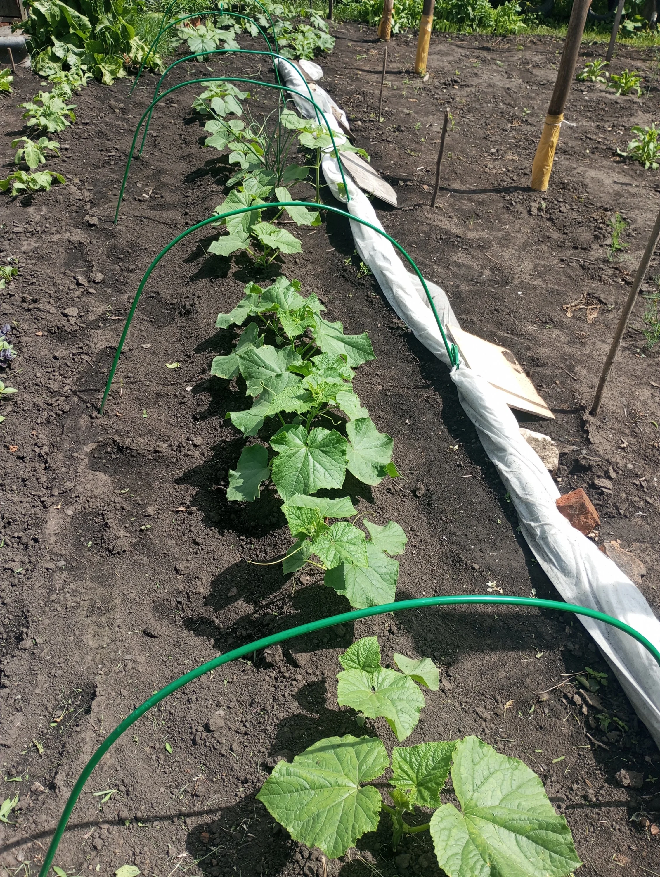 2024-06-14 13-51-33.webp