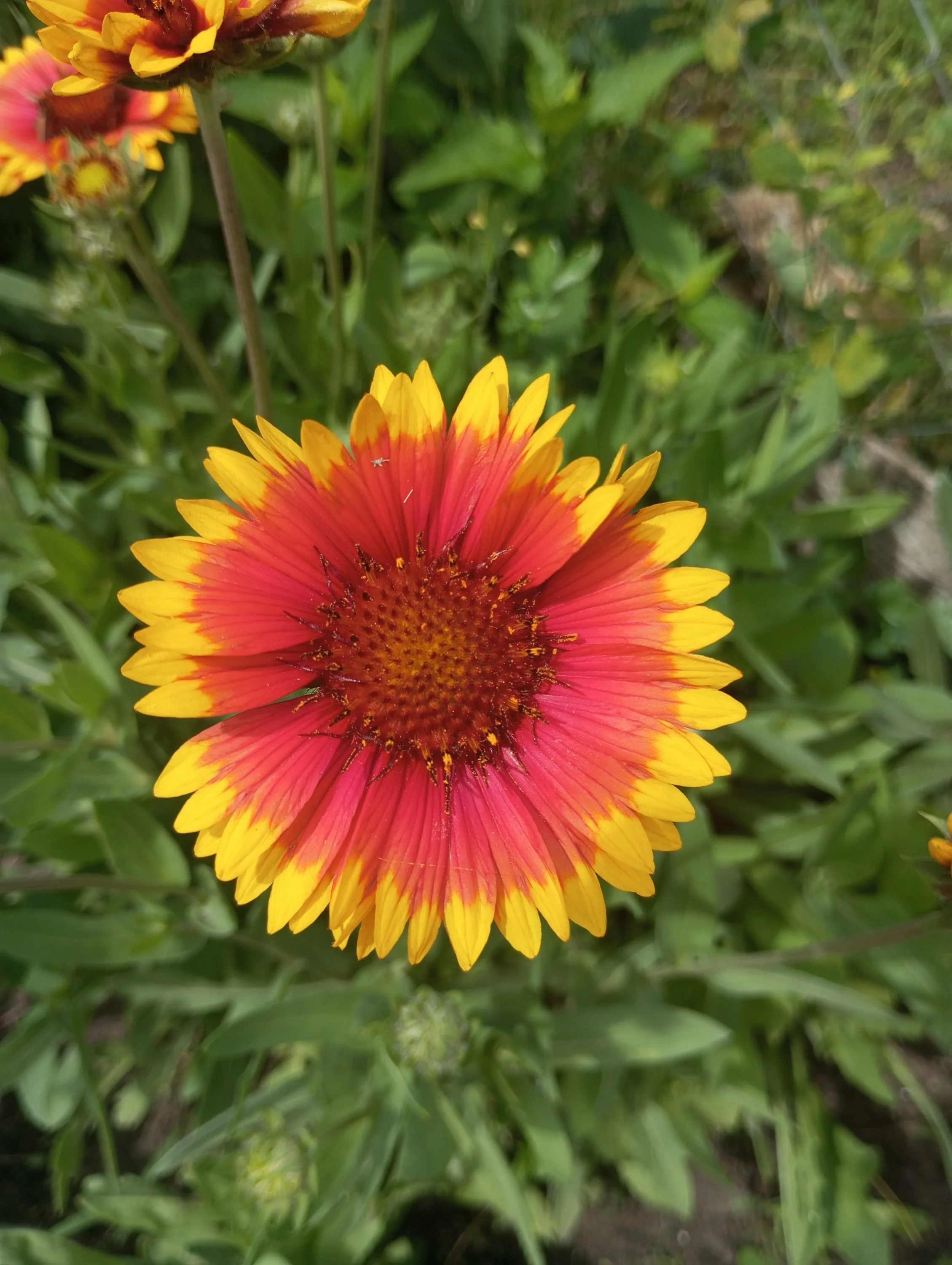 2024-06-14 13-51-56.webp