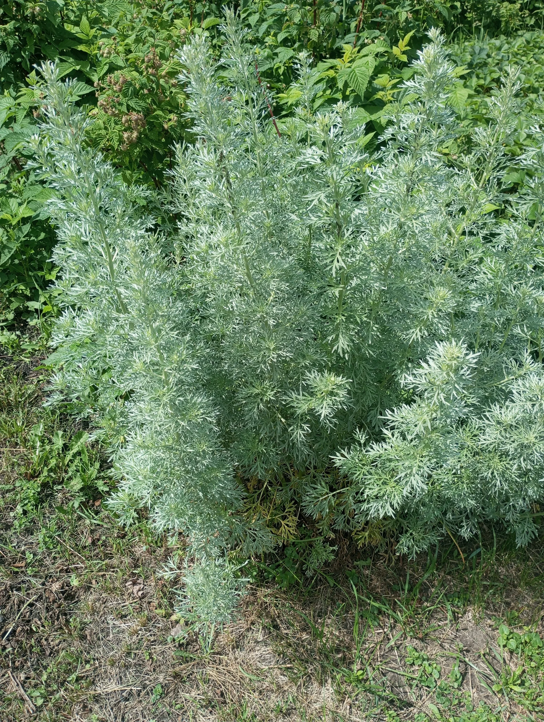 2024-06-14 13-52-05.webp