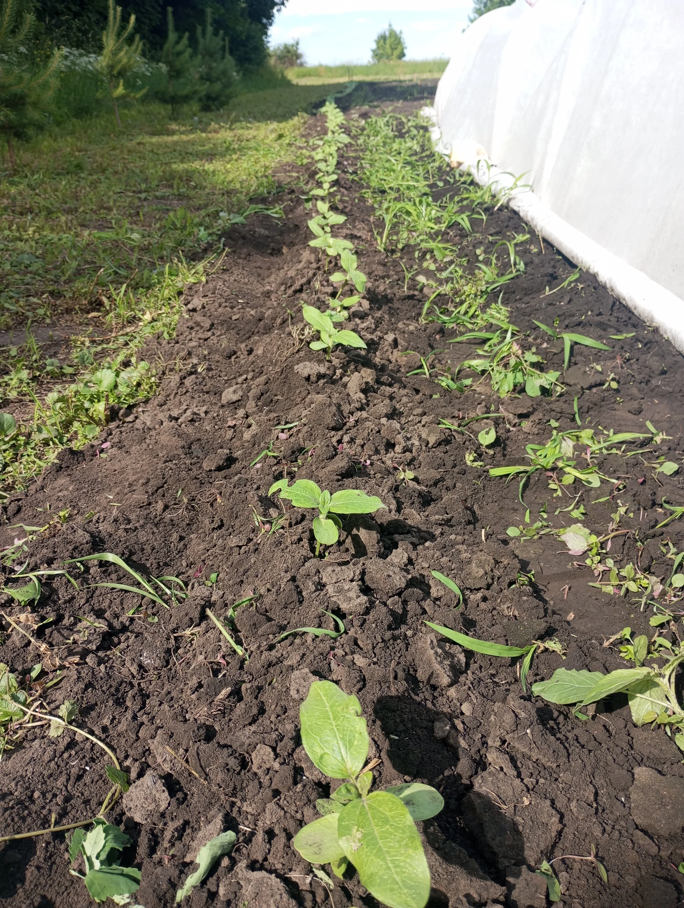 2024-06-14 15-59-49.webp