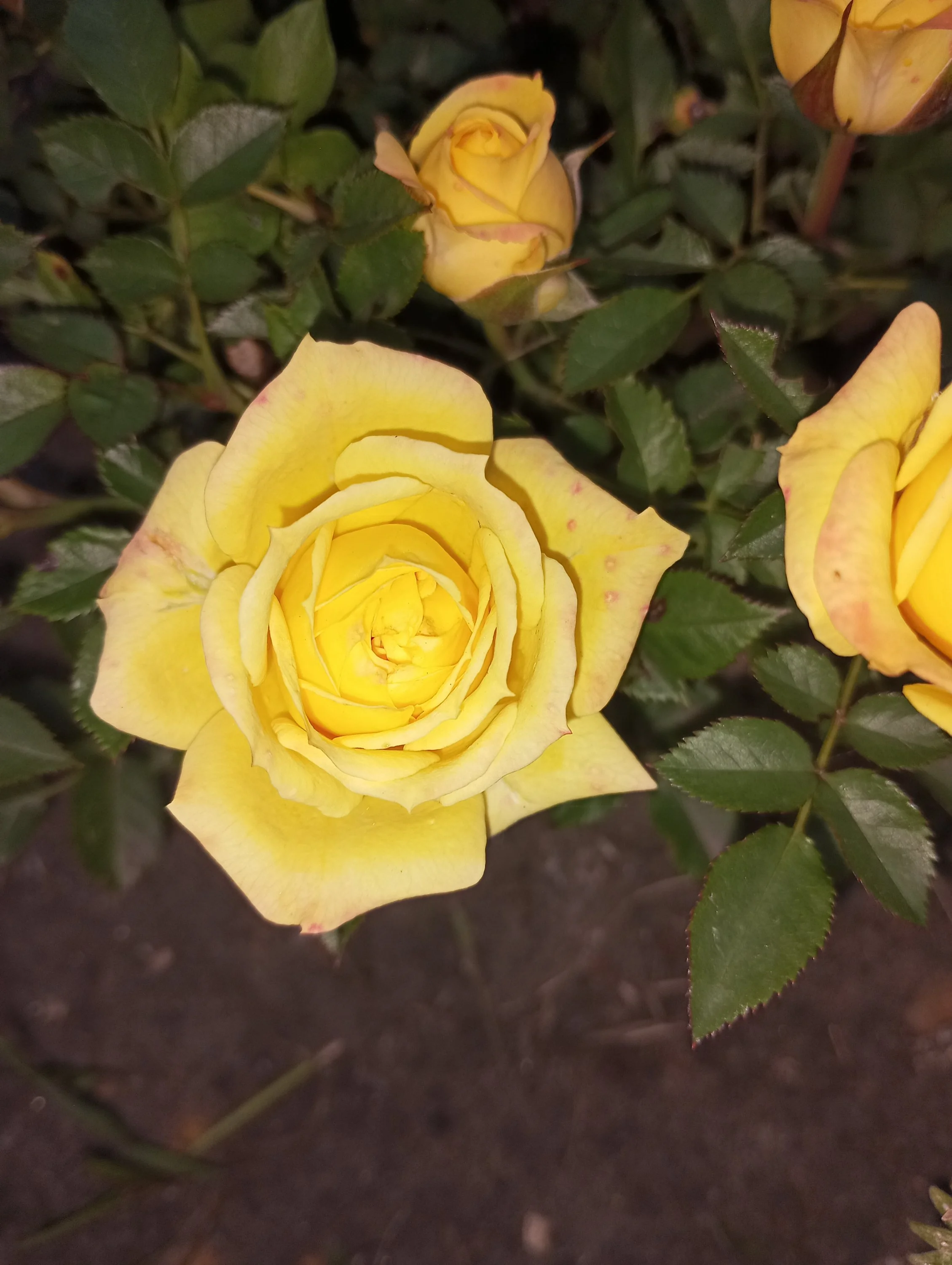 2024-06-15 20-37-41.webp