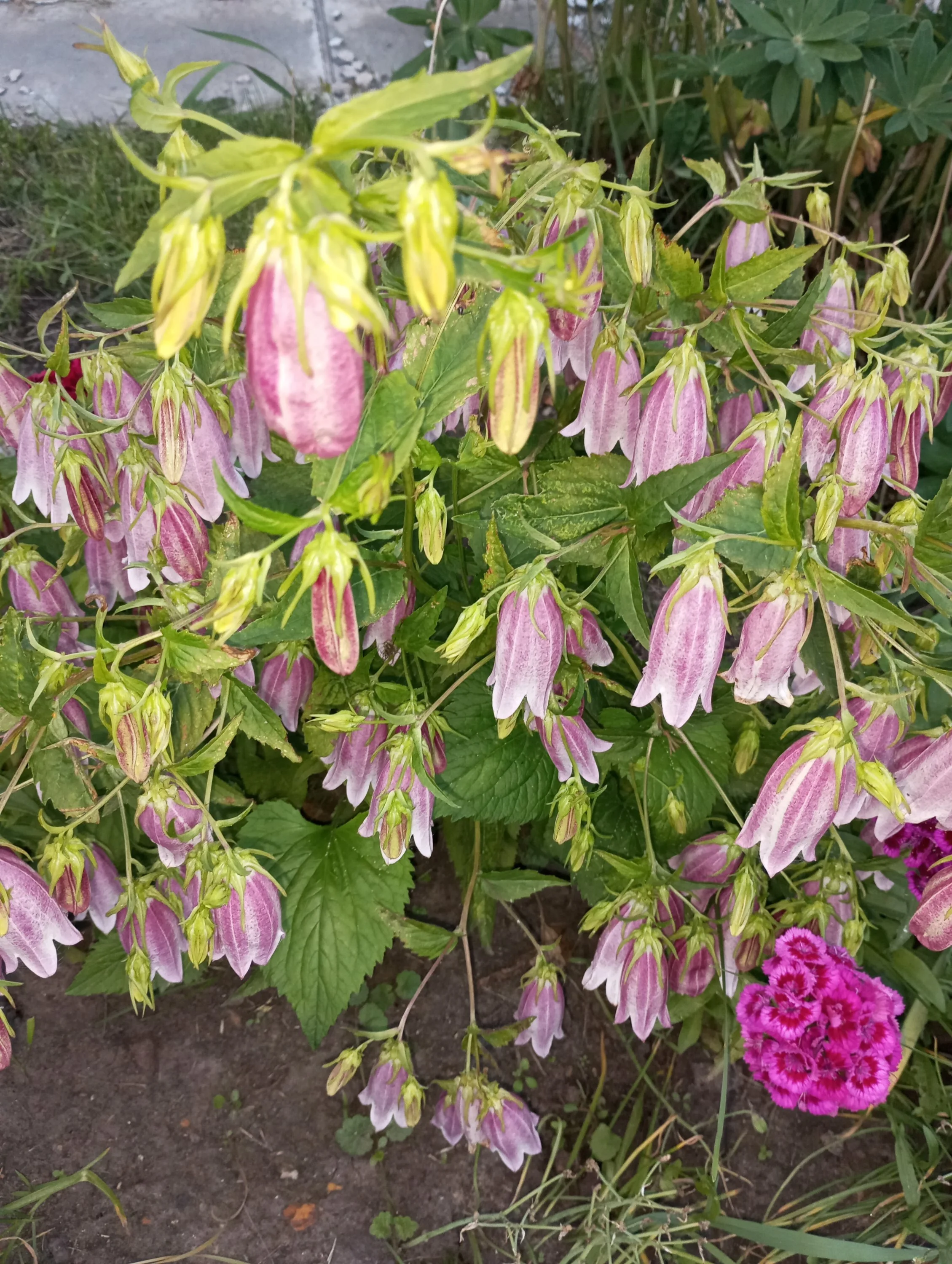 2024-06-15 20-38-10.webp