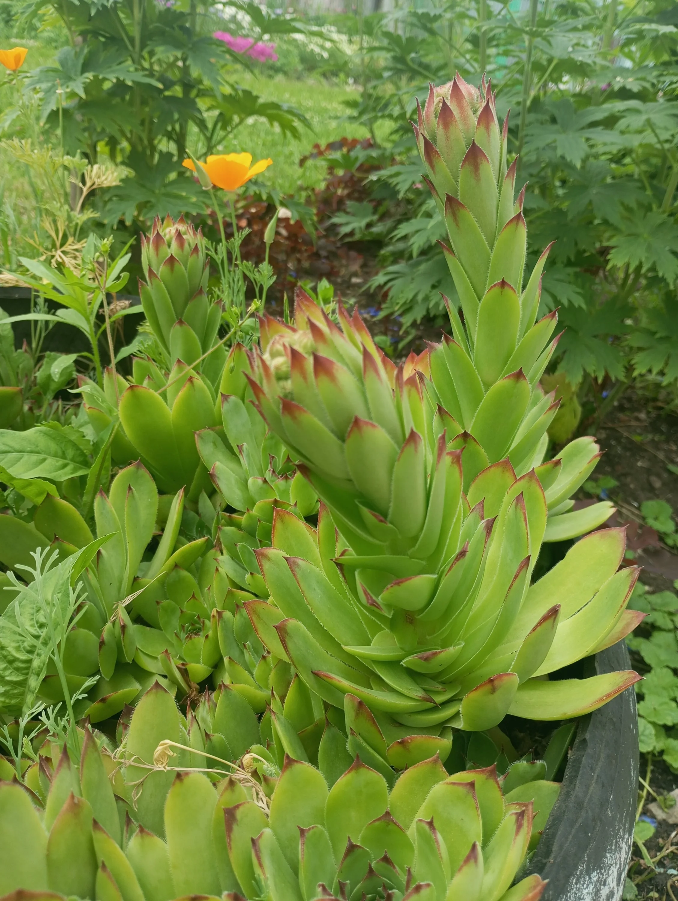 2024-06-16 12-28-29.webp