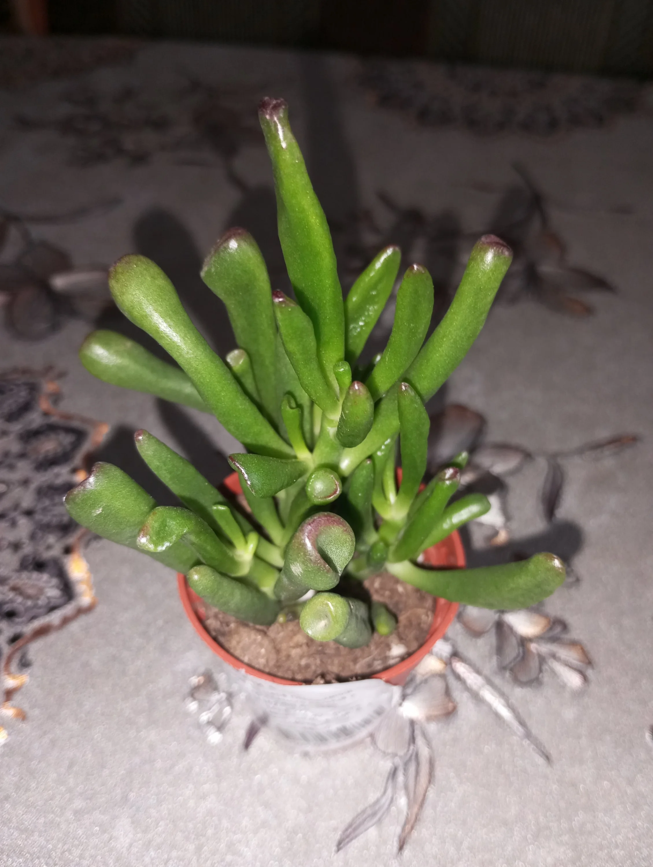 2024-06-17 09-58-04.webp