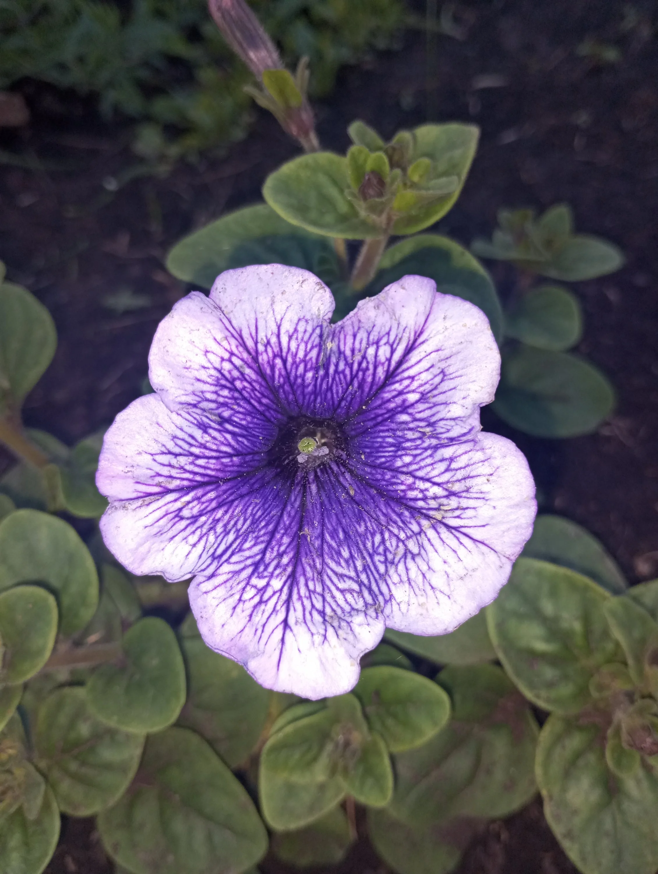 2024-06-21 20-22-07.webp