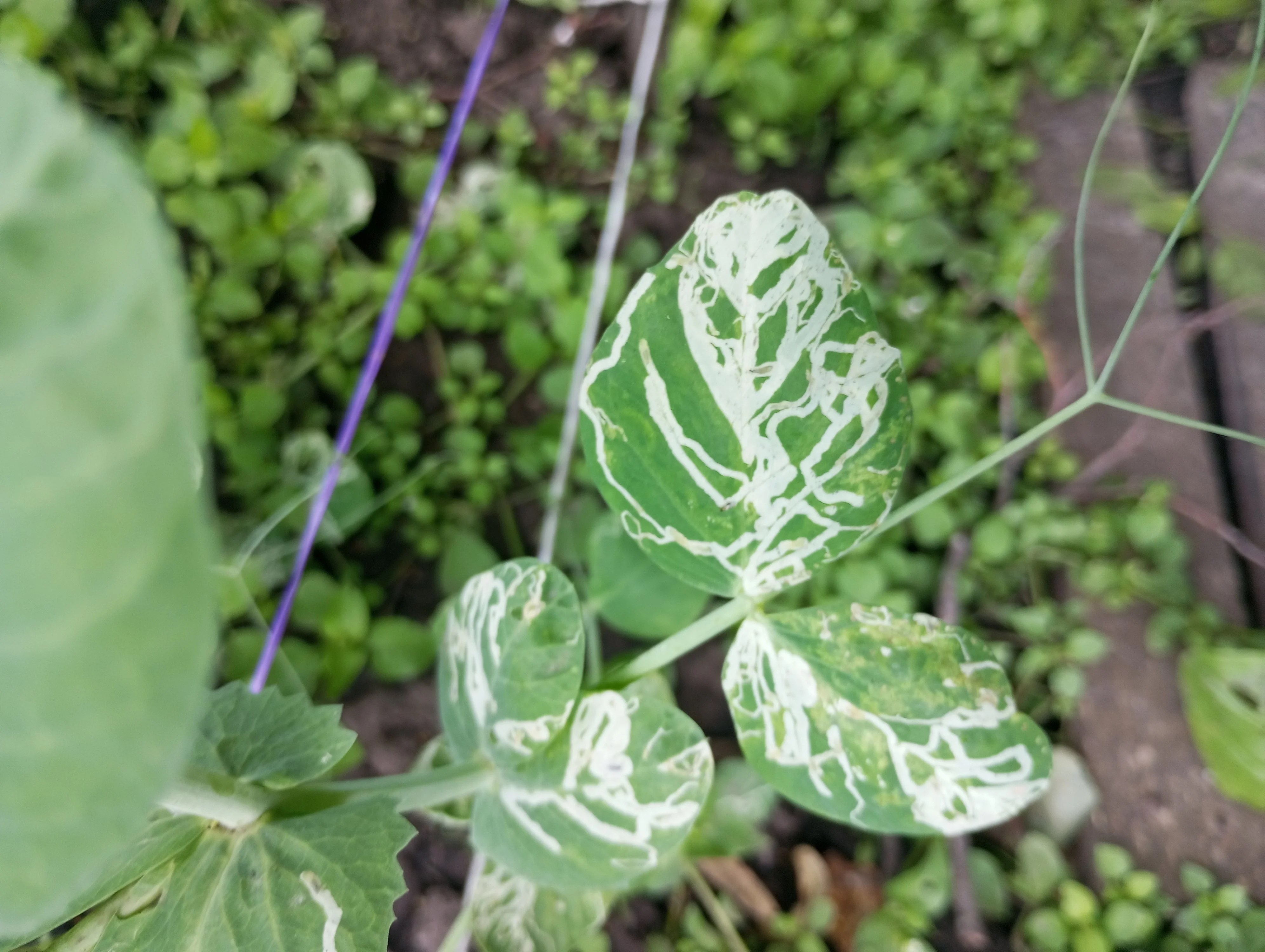 2024-06-22 11-41-56.webp