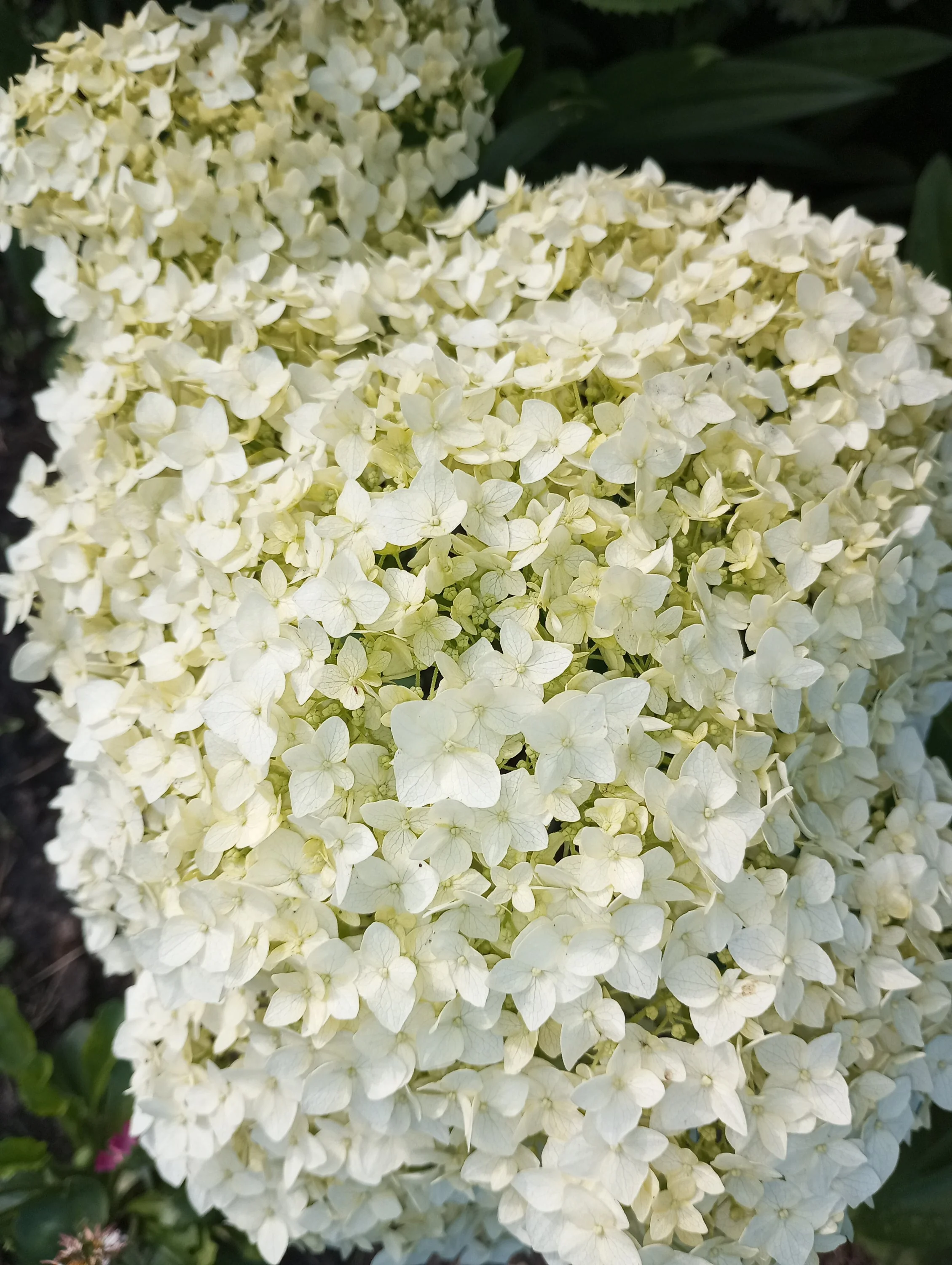 2024-06-25 18-06-13.webp