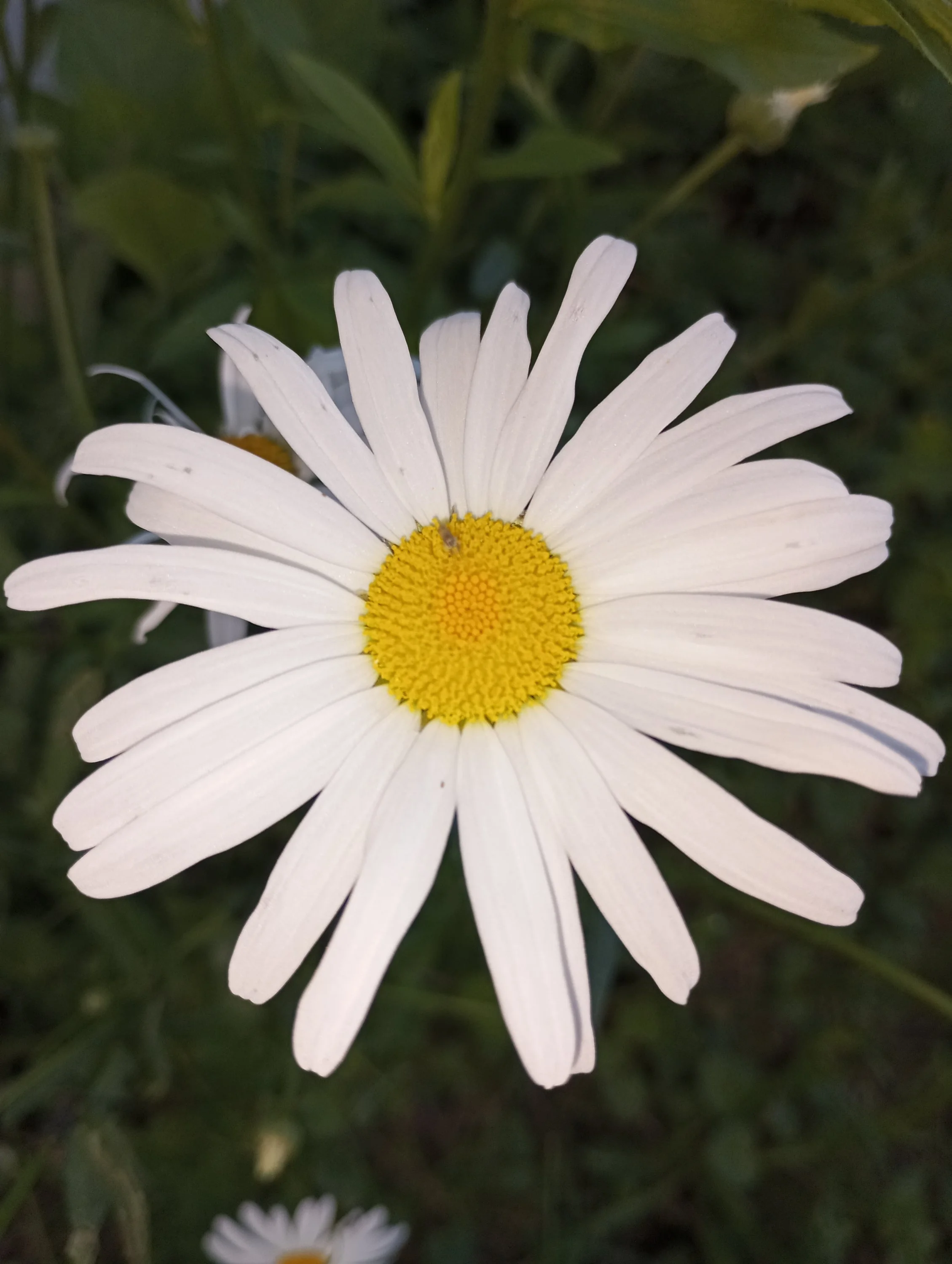 2024-06-25 18-06-33.webp