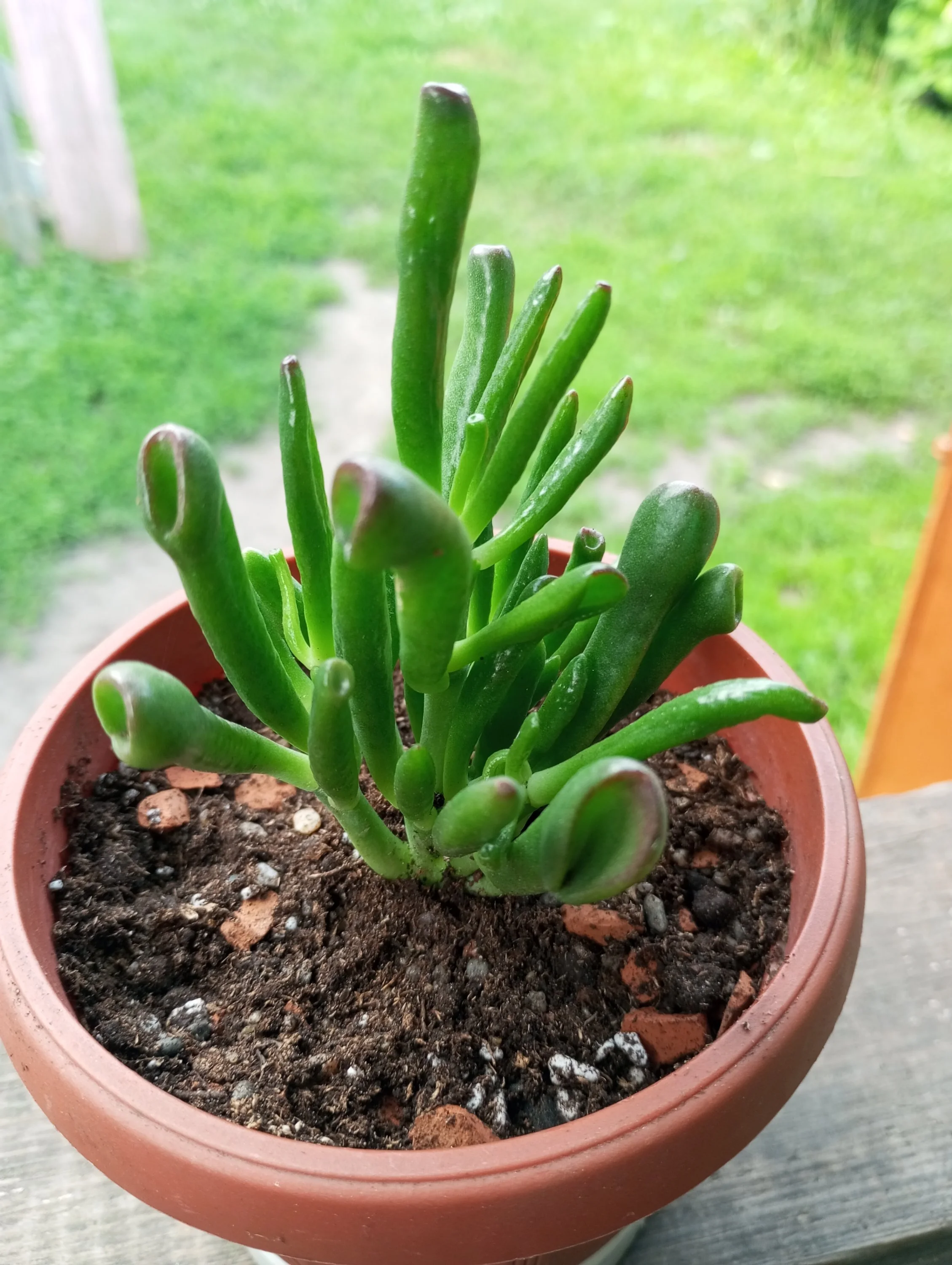 2024-06-25 19-30-17.webp