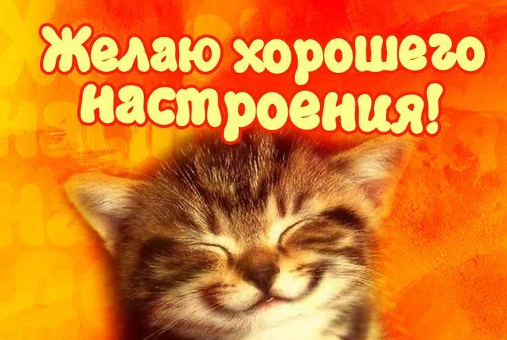 2024-06-30 14-00-55.webp