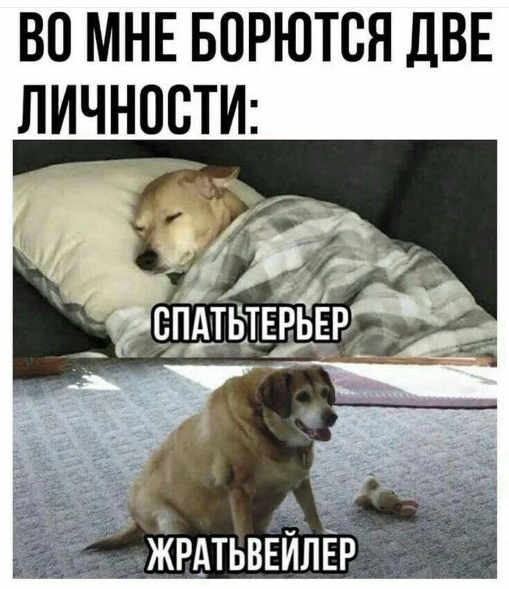 2024-06-30 14-01-35.webp