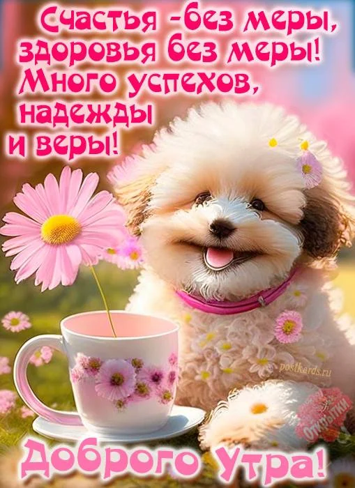 2024-06-30 14-03-36.webp