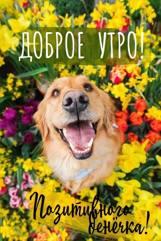 2024-06-30 14-03-46.webp