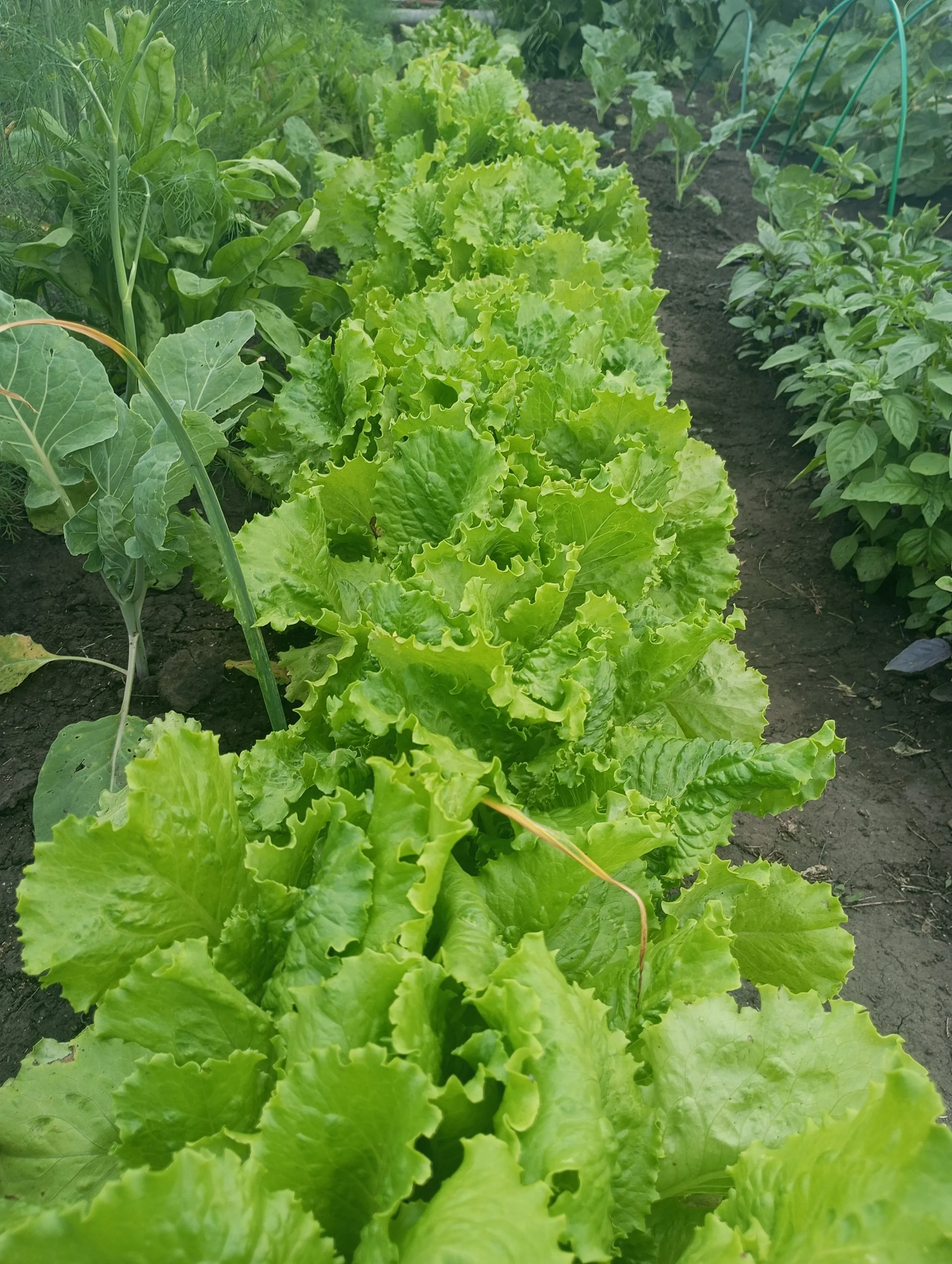 2024-06-30 17-13-49.webp