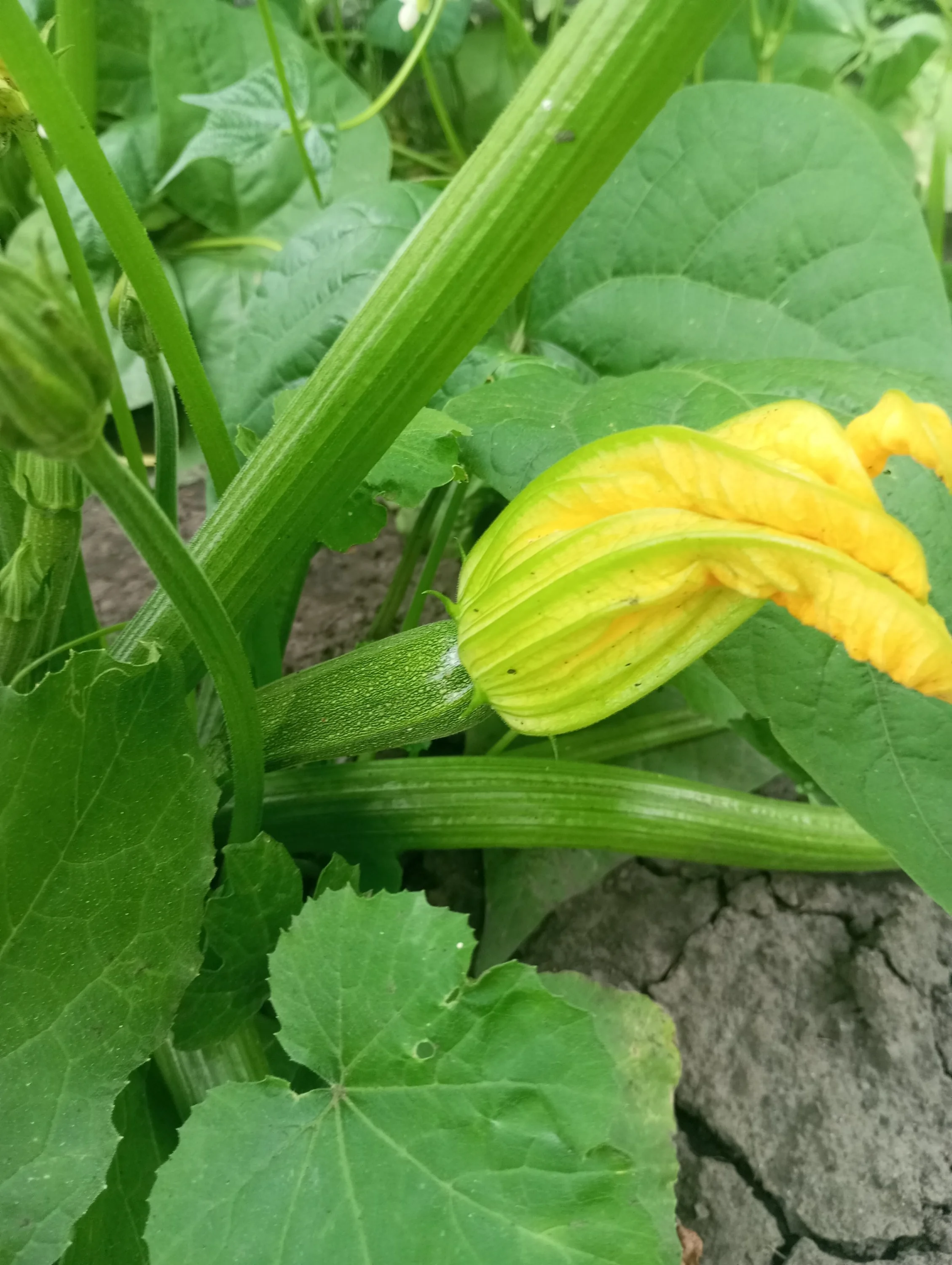 2024-06-30 17-14-18.webp