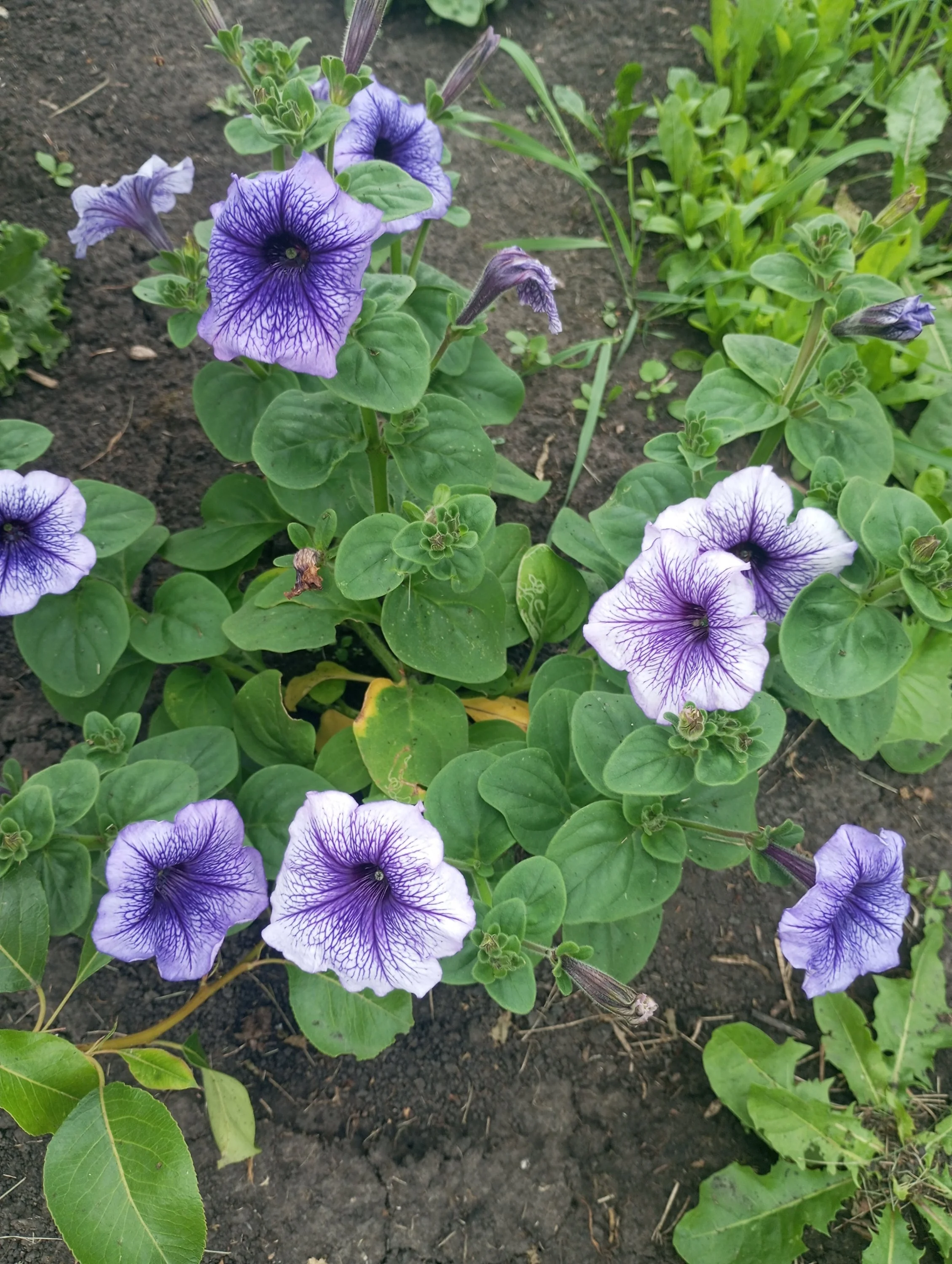 2024-06-30 17-17-50.webp