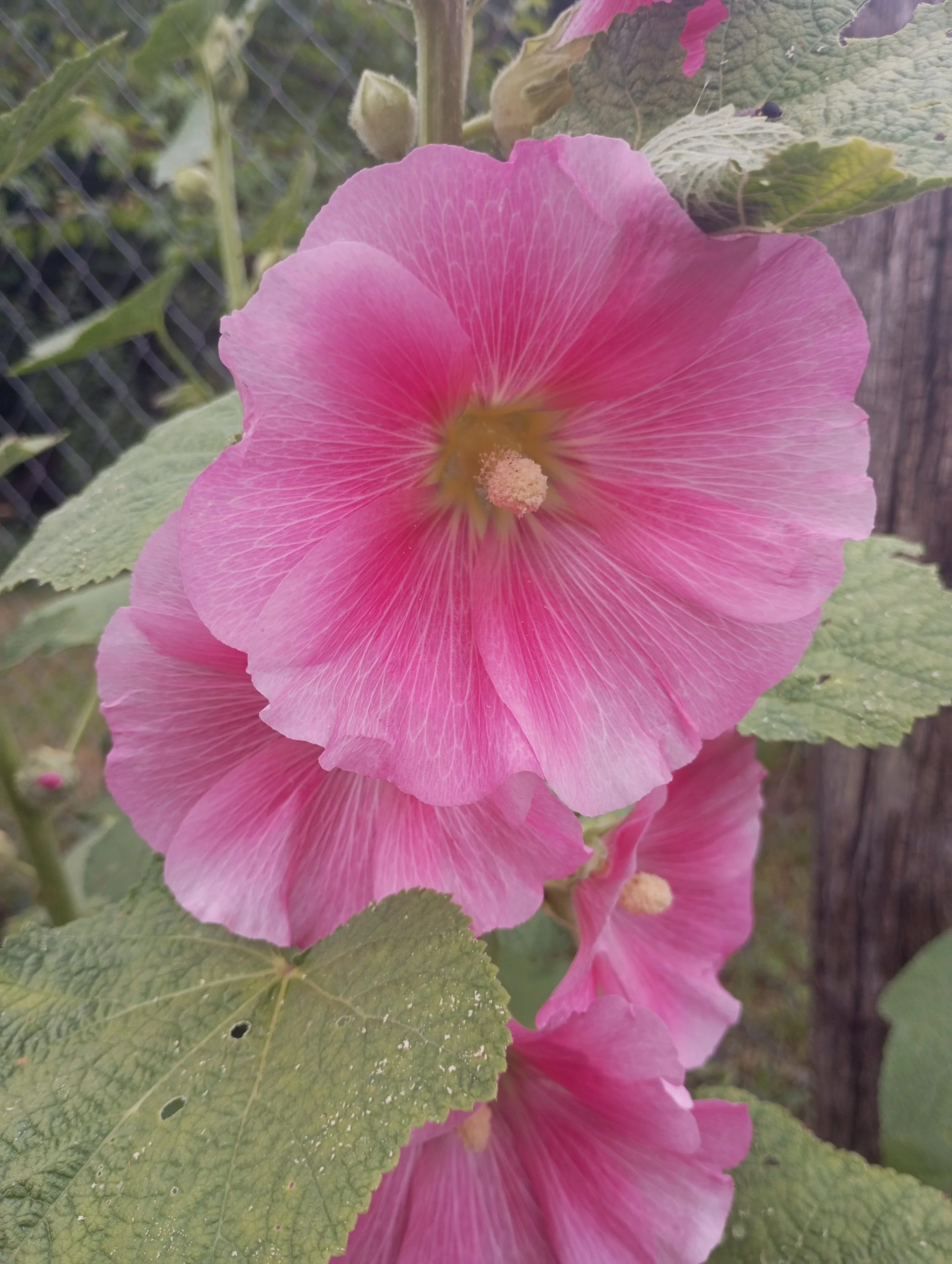 2024-06-30 17-18-13.webp