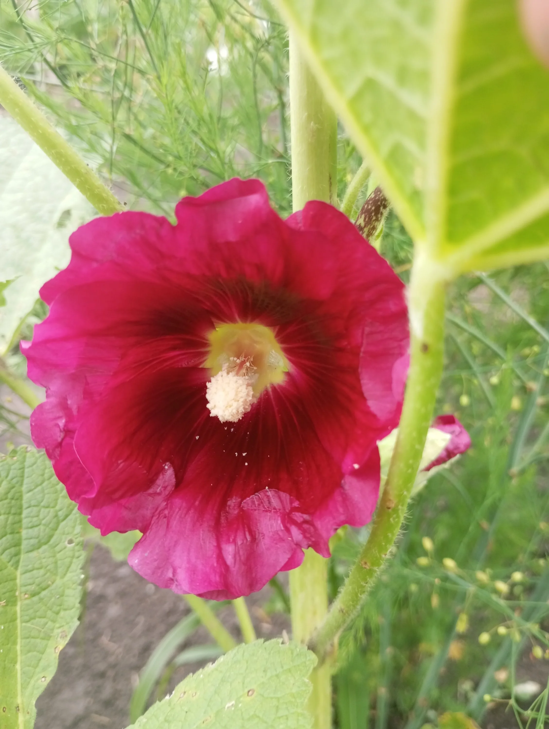 2024-06-30 17-18-27.webp