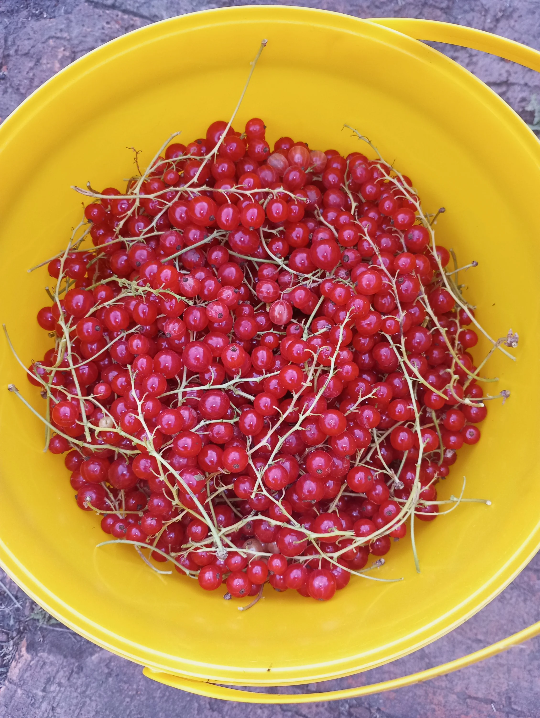 2024-06-30 17-39-37.webp