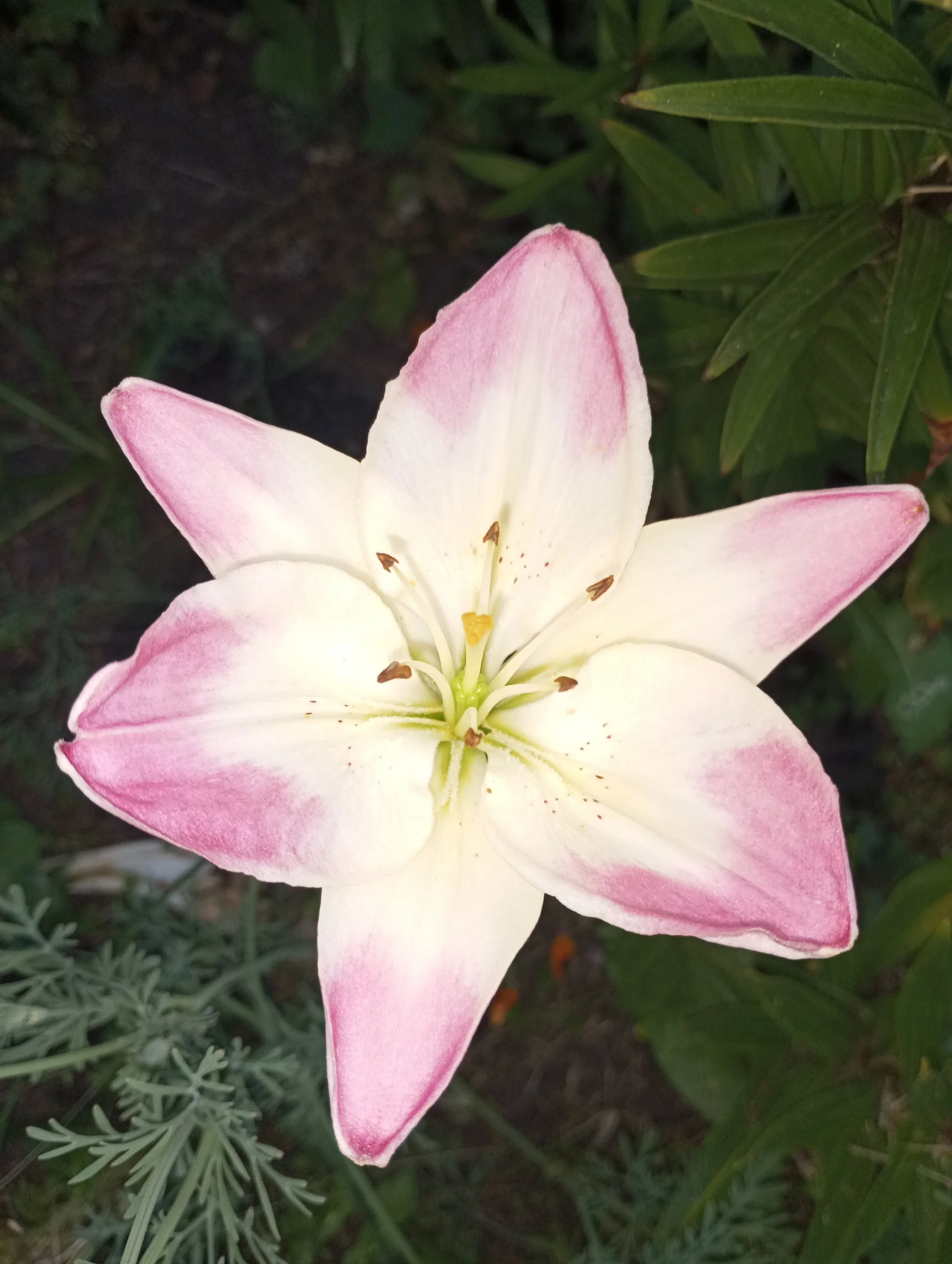 2024-07-02 20-31-41.webp