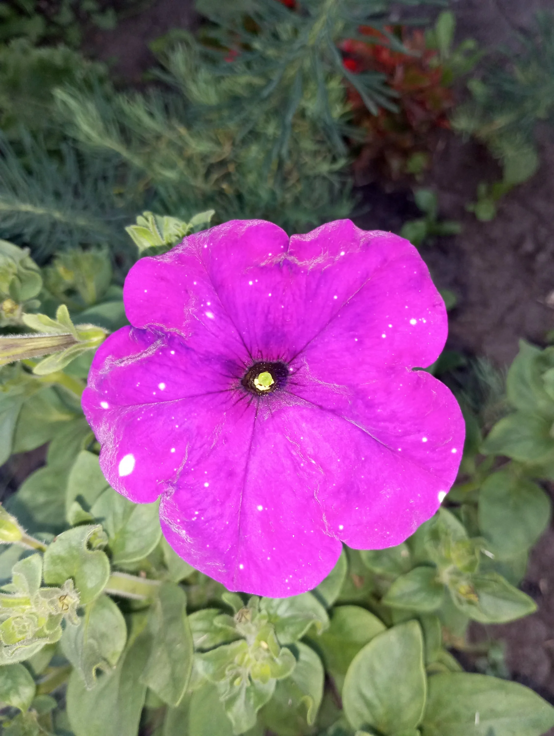 2024-07-02 20-32-03.webp